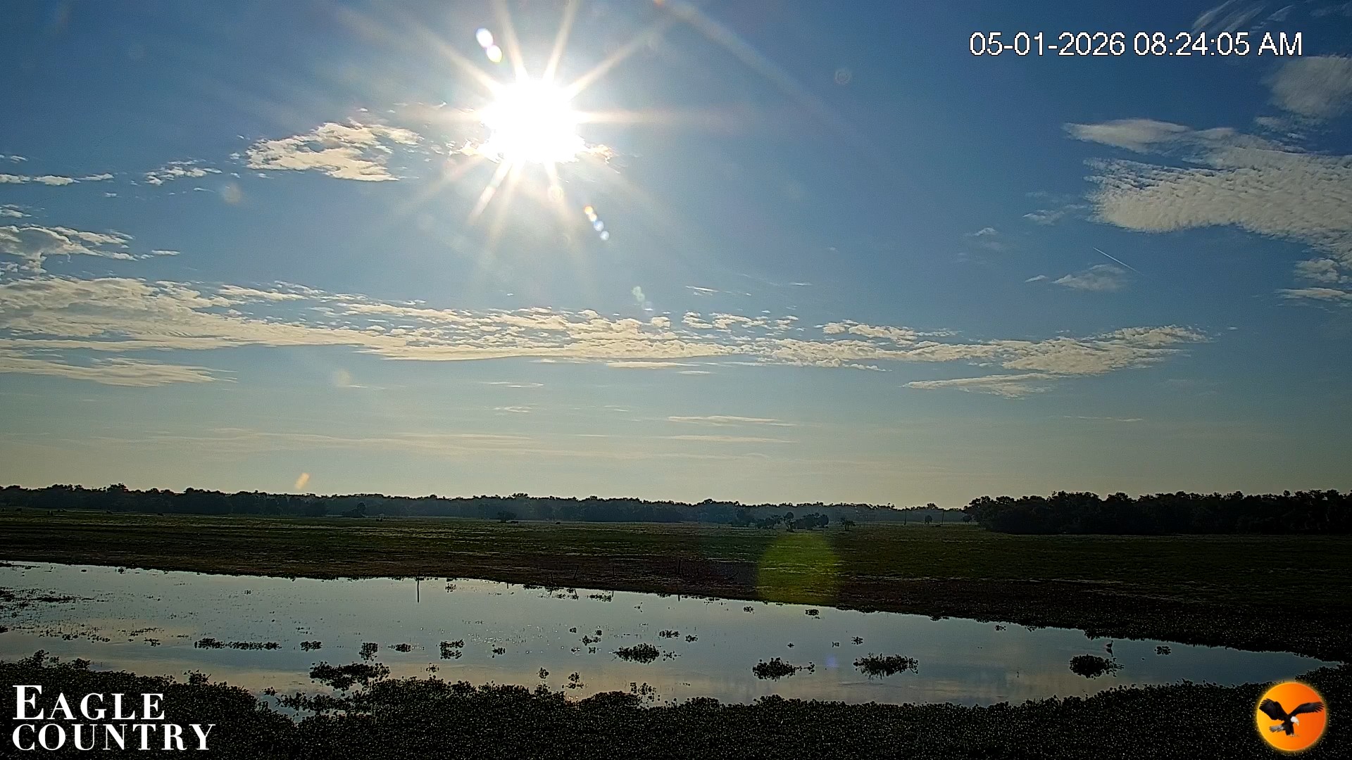 Snapshot of Southwest Florida River Wildlife Live Cams taken May 1, 2026, 8:25am EDT