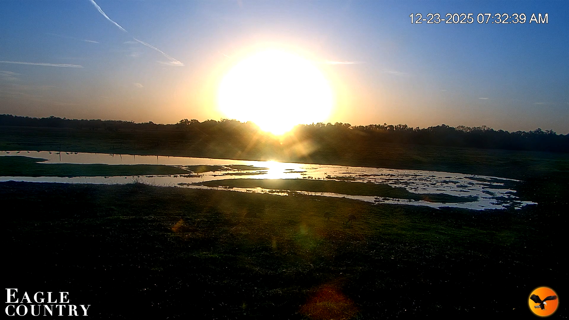 Snapshot of Southwest Florida River Wildlife Live Cams taken Dec 23, 2025, 7:33am EST