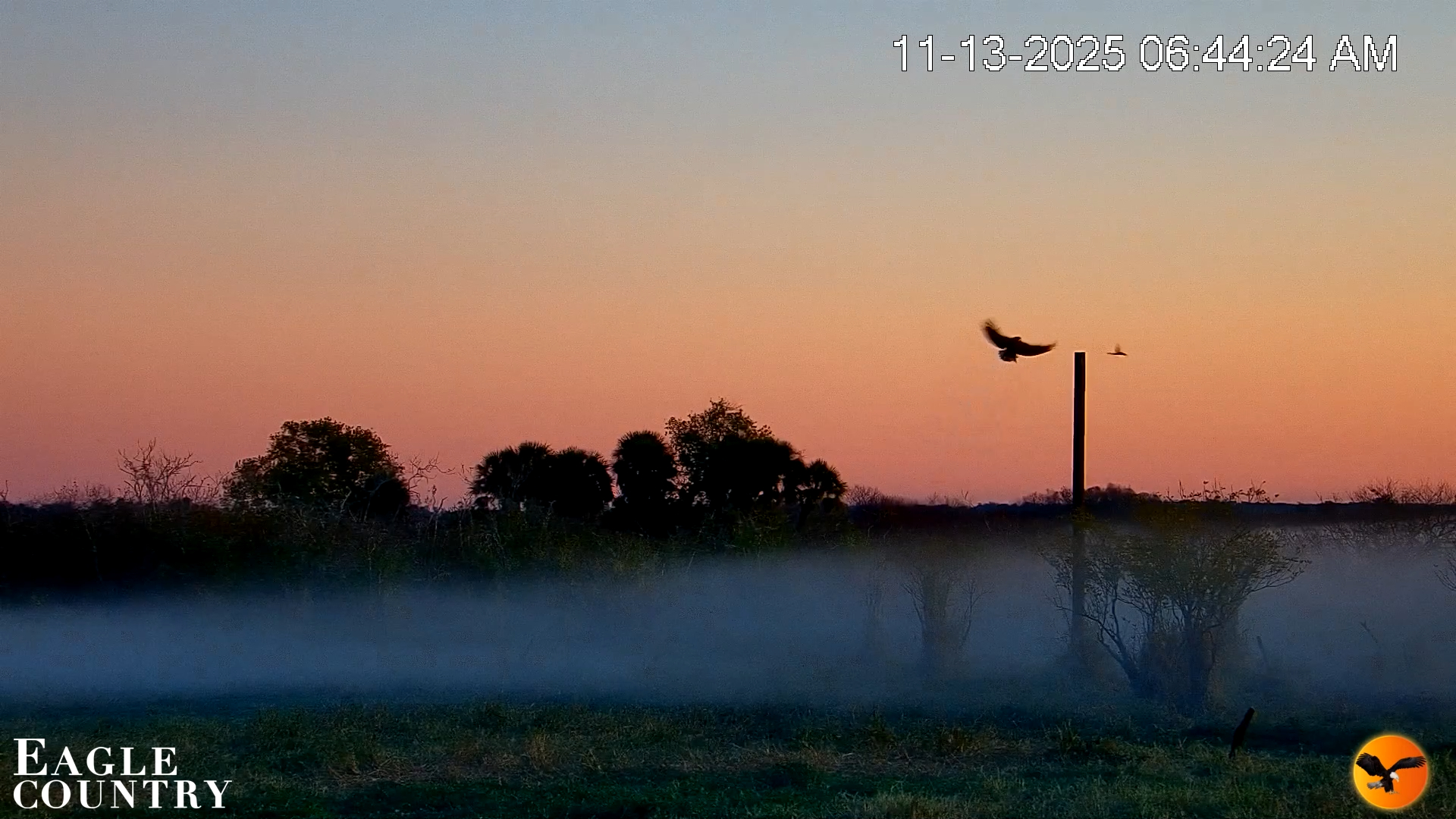 Snapshot of Southwest Florida River Wildlife Live Cams taken Nov 13, 2025, 7:02am EST