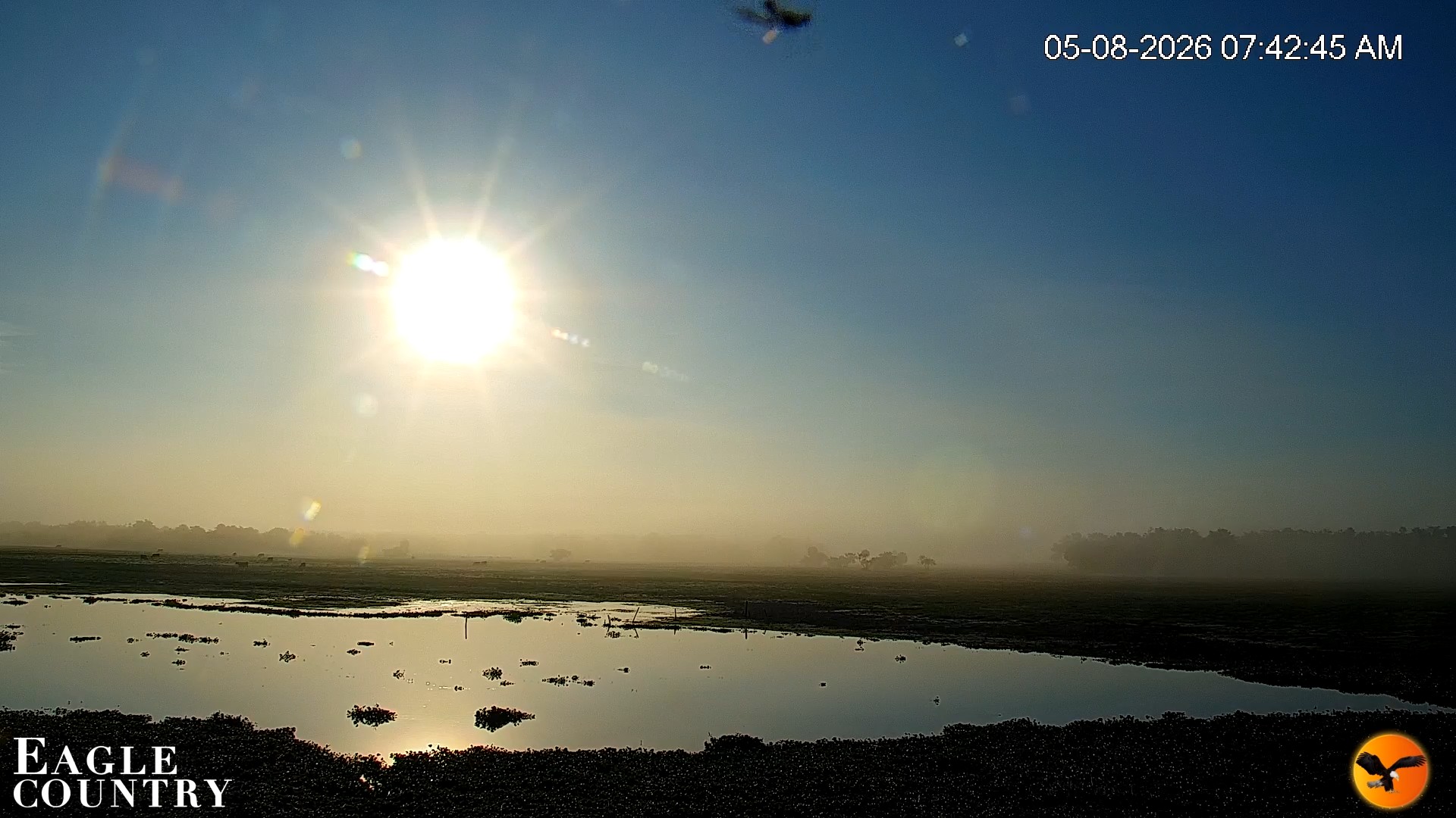 Snapshot of Southwest Florida River Wildlife Live Cams taken May 8, 2026, 7:44am EDT