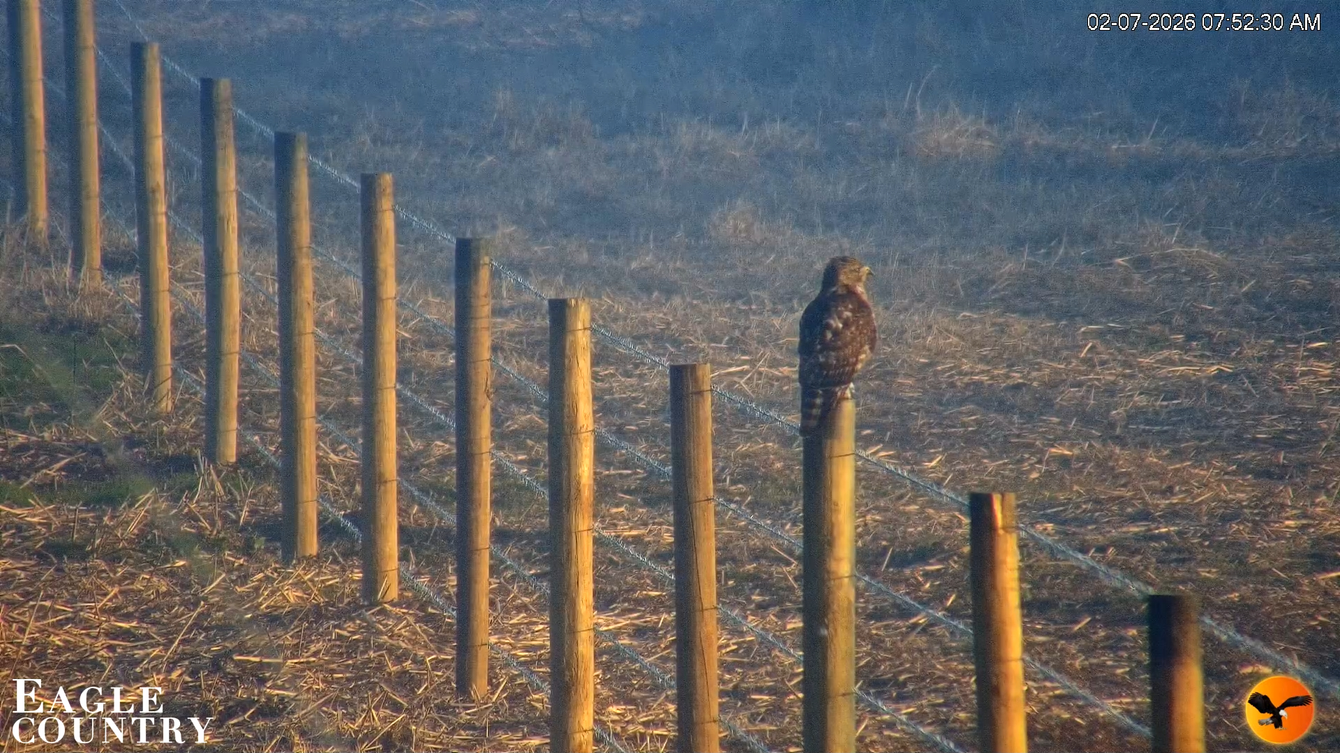 Snapshot of Southwest Florida River Wildlife Live Cams taken Feb 7, 2026, 5:04pm EST
