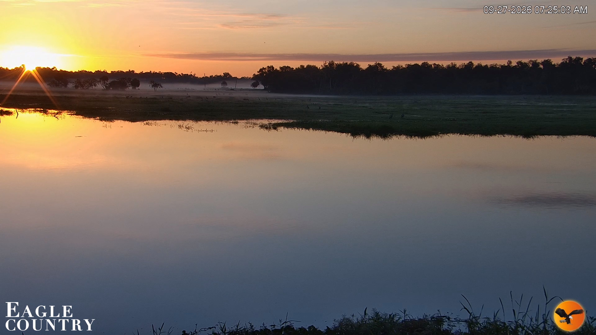Snapshot of Southwest Florida River Wildlife Live Cams taken Sep 27, 2026, 7:25am EDT