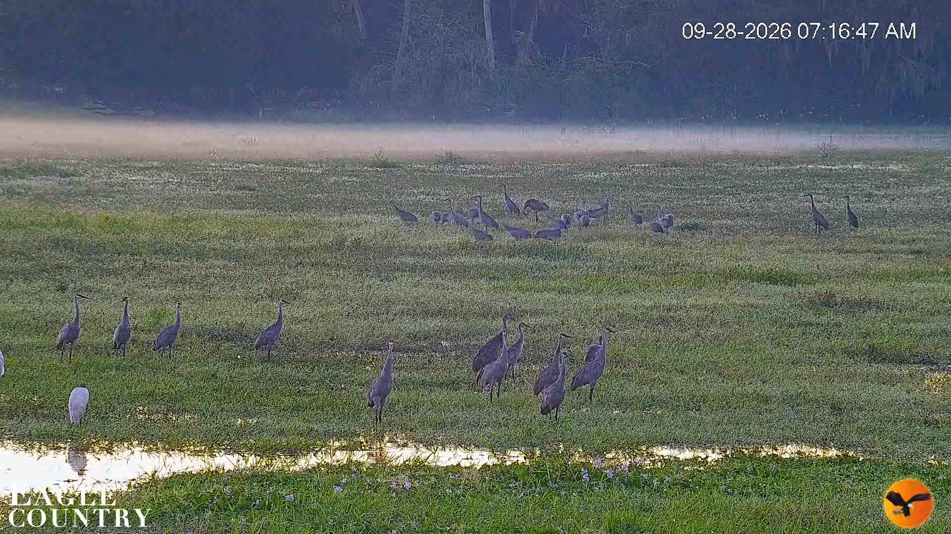 Snapshot of Southwest Florida River Wildlife Live Cams taken Sep 28, 2026, 7:17am EDT