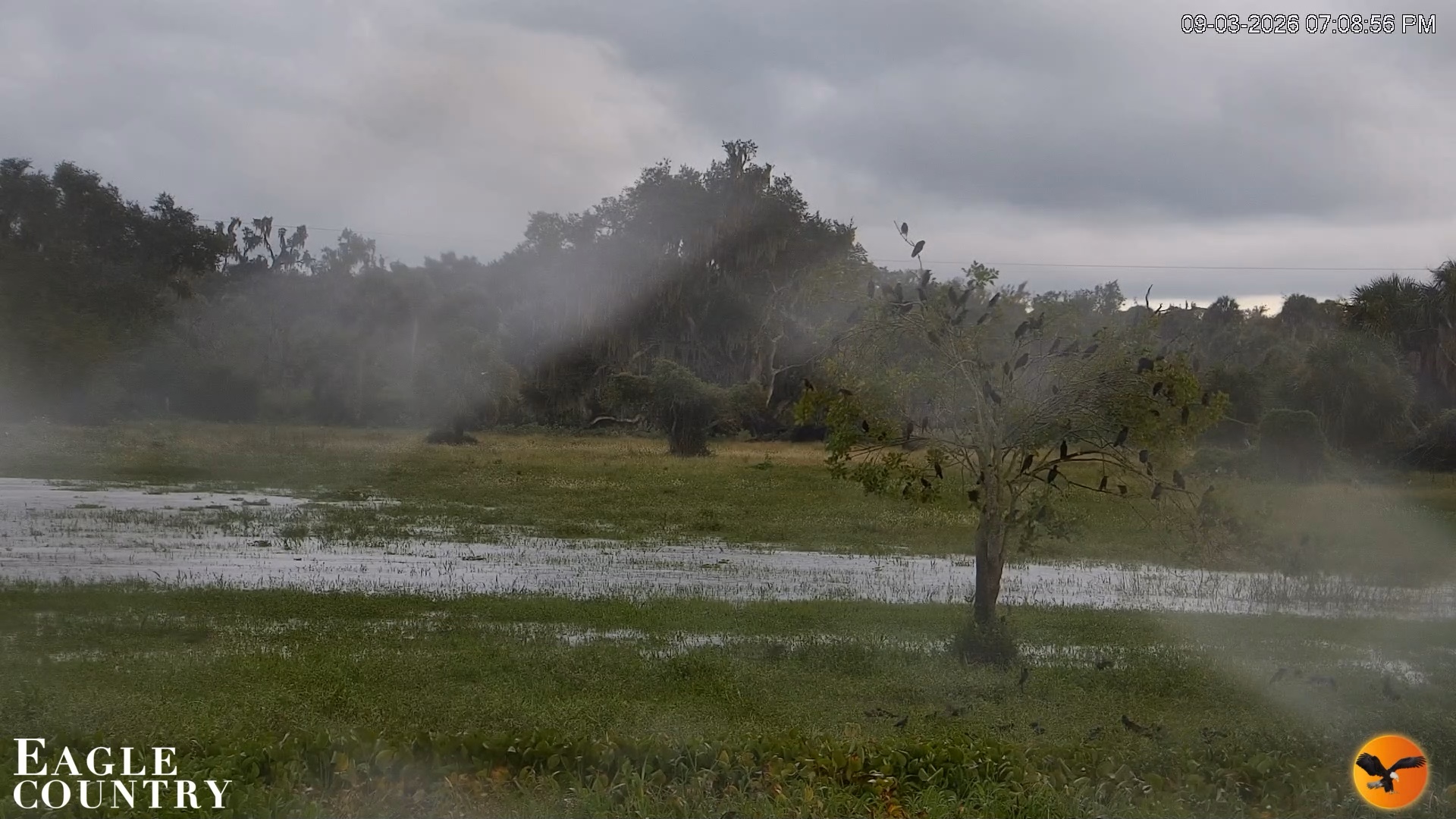 Snapshot of Southwest Florida River Wildlife Live Cams taken Sep 3, 2026, 7:09pm EDT