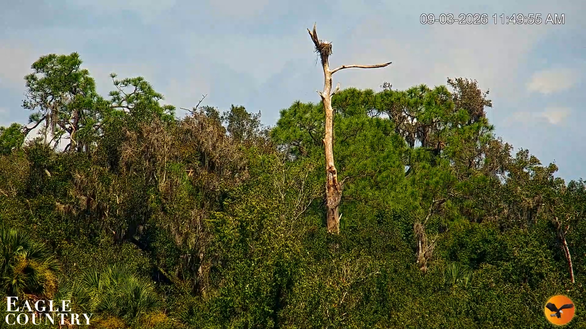 Snapshot of Southwest Florida River Wildlife Live Cams taken Sep 3, 2026, 11:50am EDT