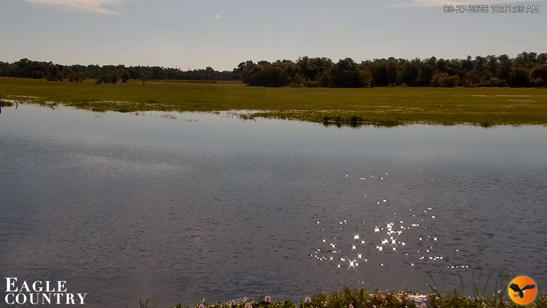 Snapshot of Southwest Florida River Wildlife Live Cams taken Sep 27, 2026, 10:01am EDT
