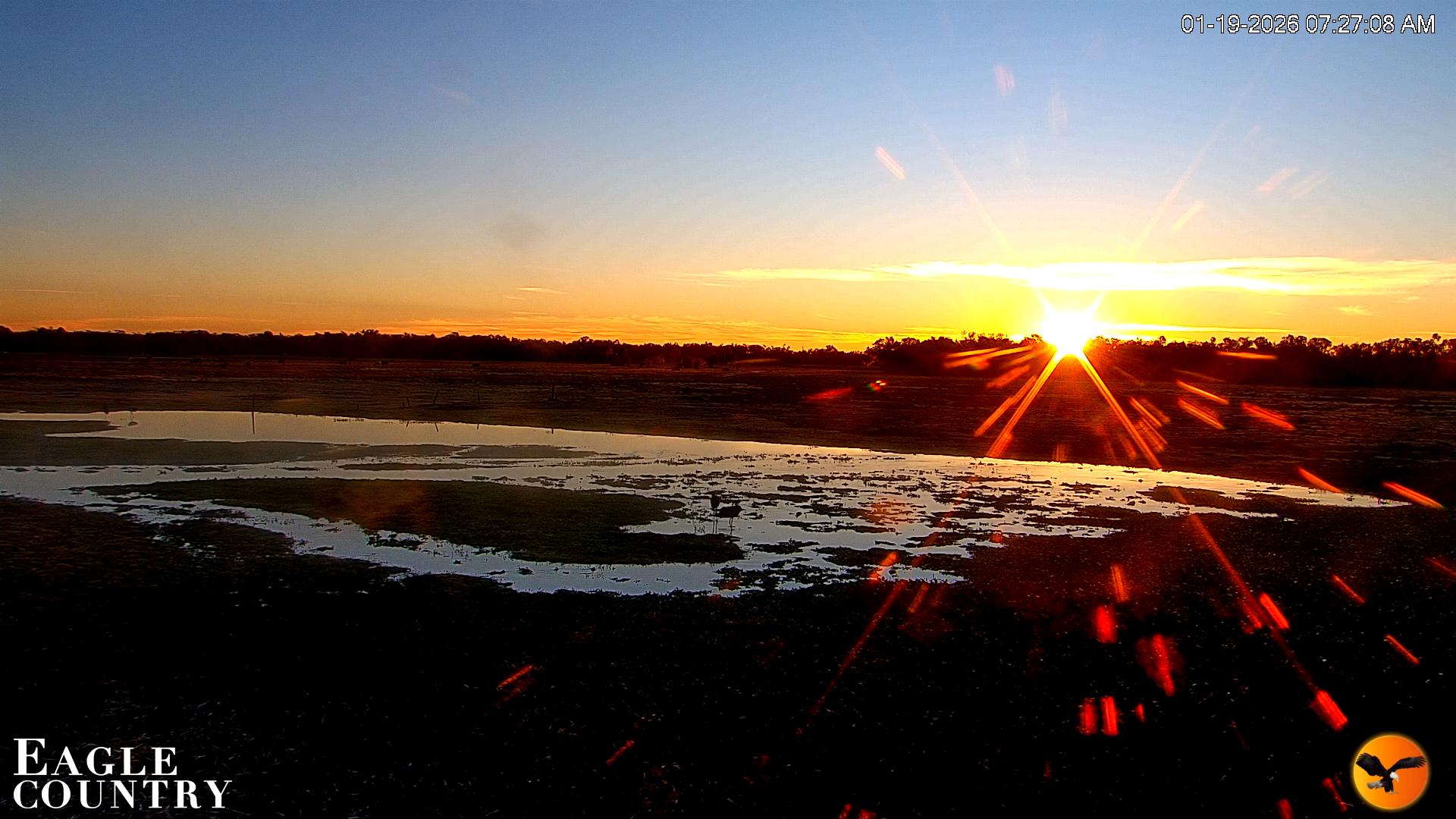 Snapshot of Southwest Florida River Wildlife Live Cams taken Jan 19, 2026, 7:28am EST