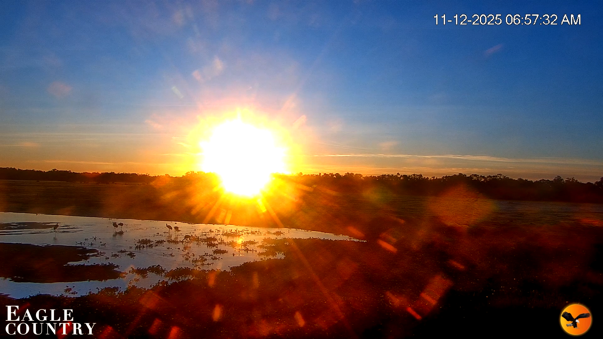 Snapshot of Southwest Florida River Wildlife Live Cams taken Nov 12, 2025, 6:58am EST