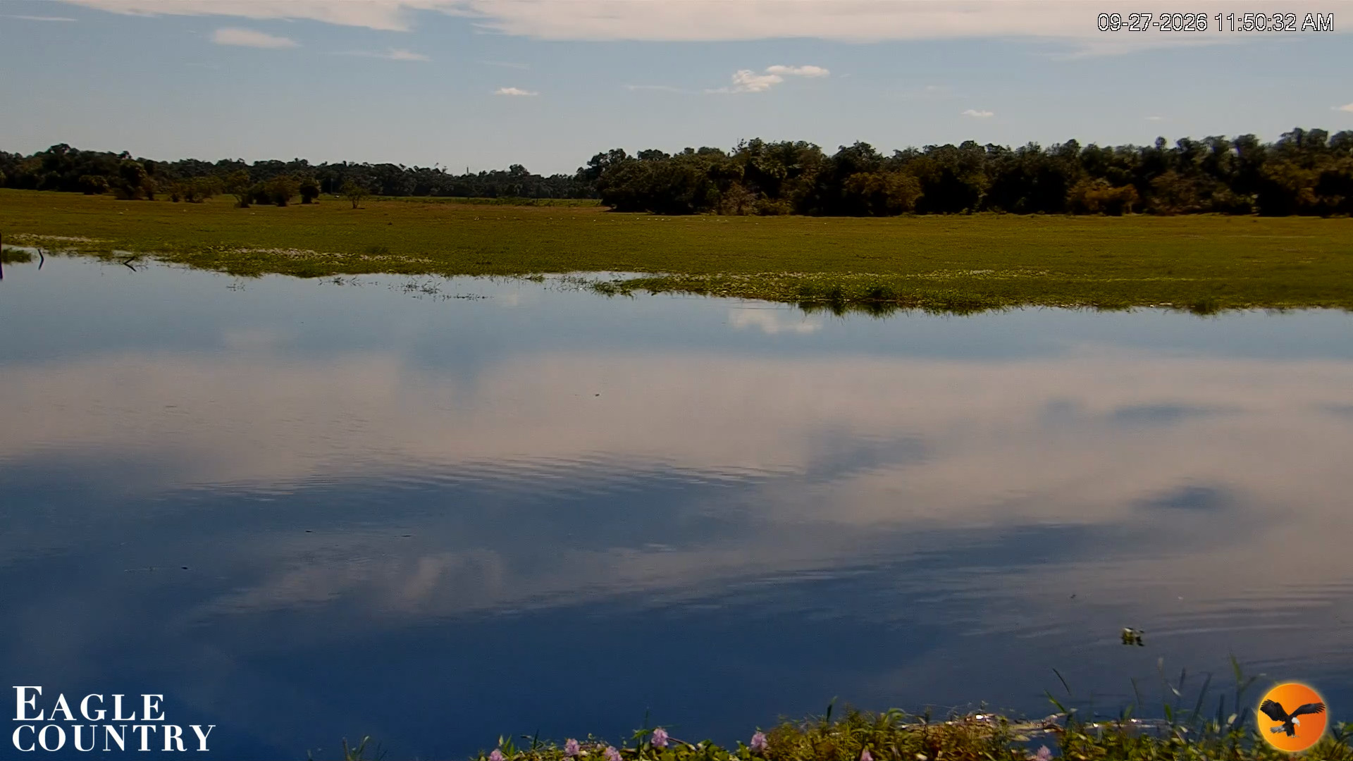 Snapshot of Southwest Florida River Wildlife Live Cams taken Sep 27, 2026, 11:50am EDT