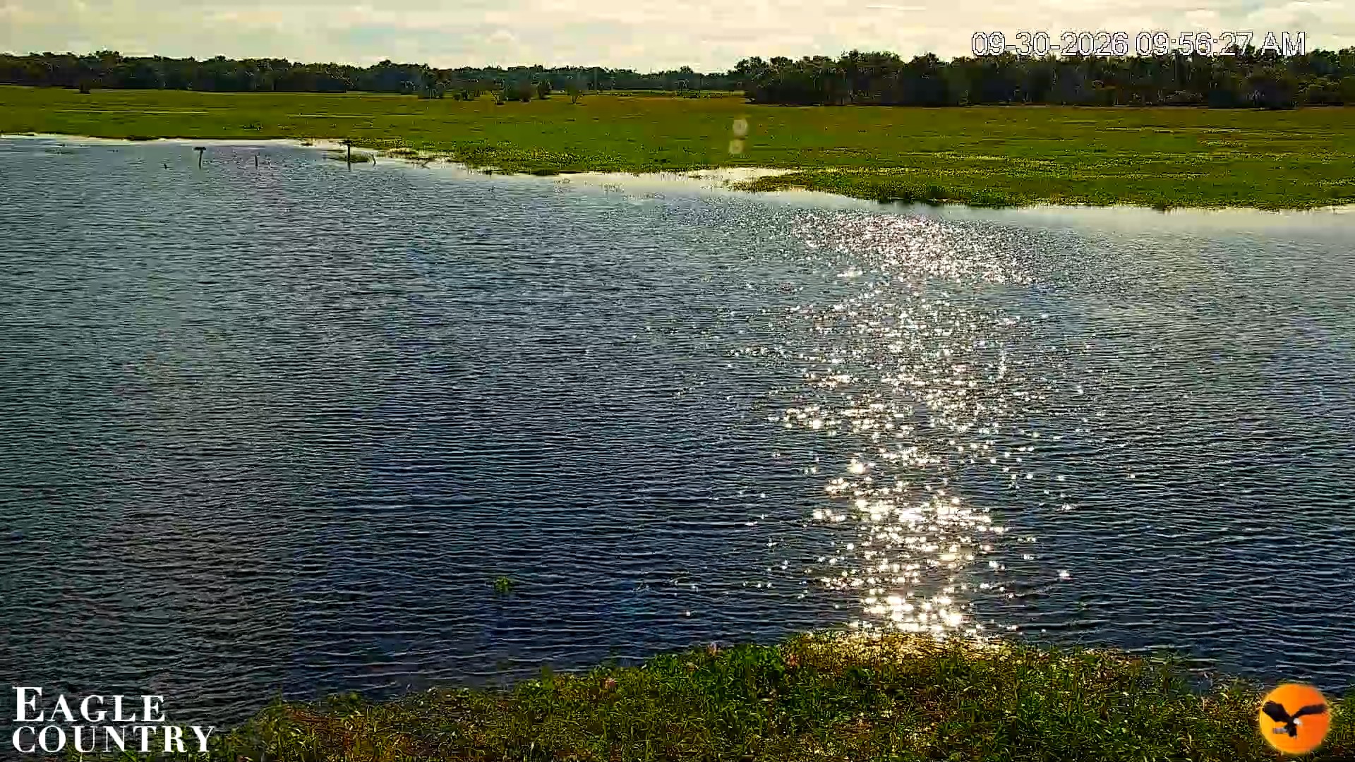 Snapshot of Southwest Florida River Wildlife Live Cams taken Sep 30, 2026, 9:57am EDT