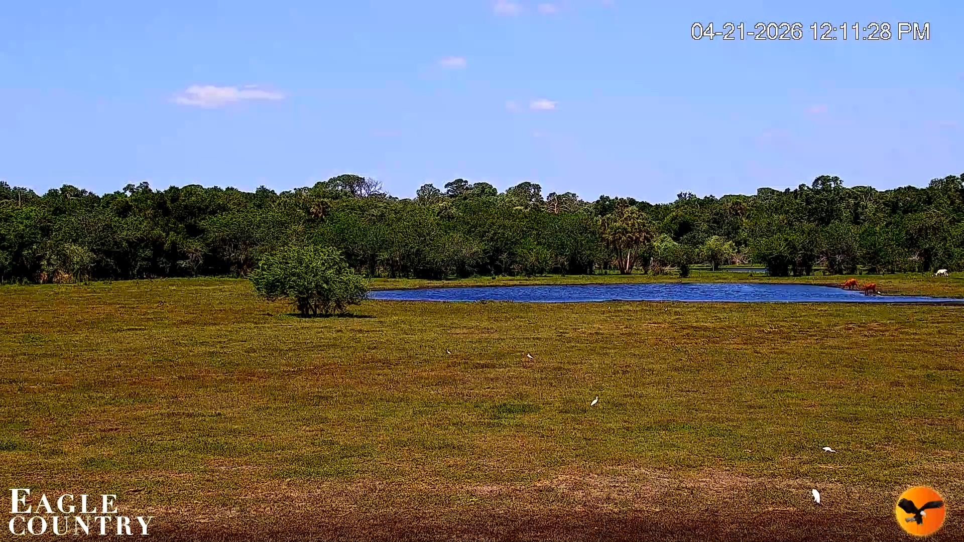 Snapshot of Southwest Florida River Wildlife Live Cams taken Apr 21, 2026, 12:12pm EDT