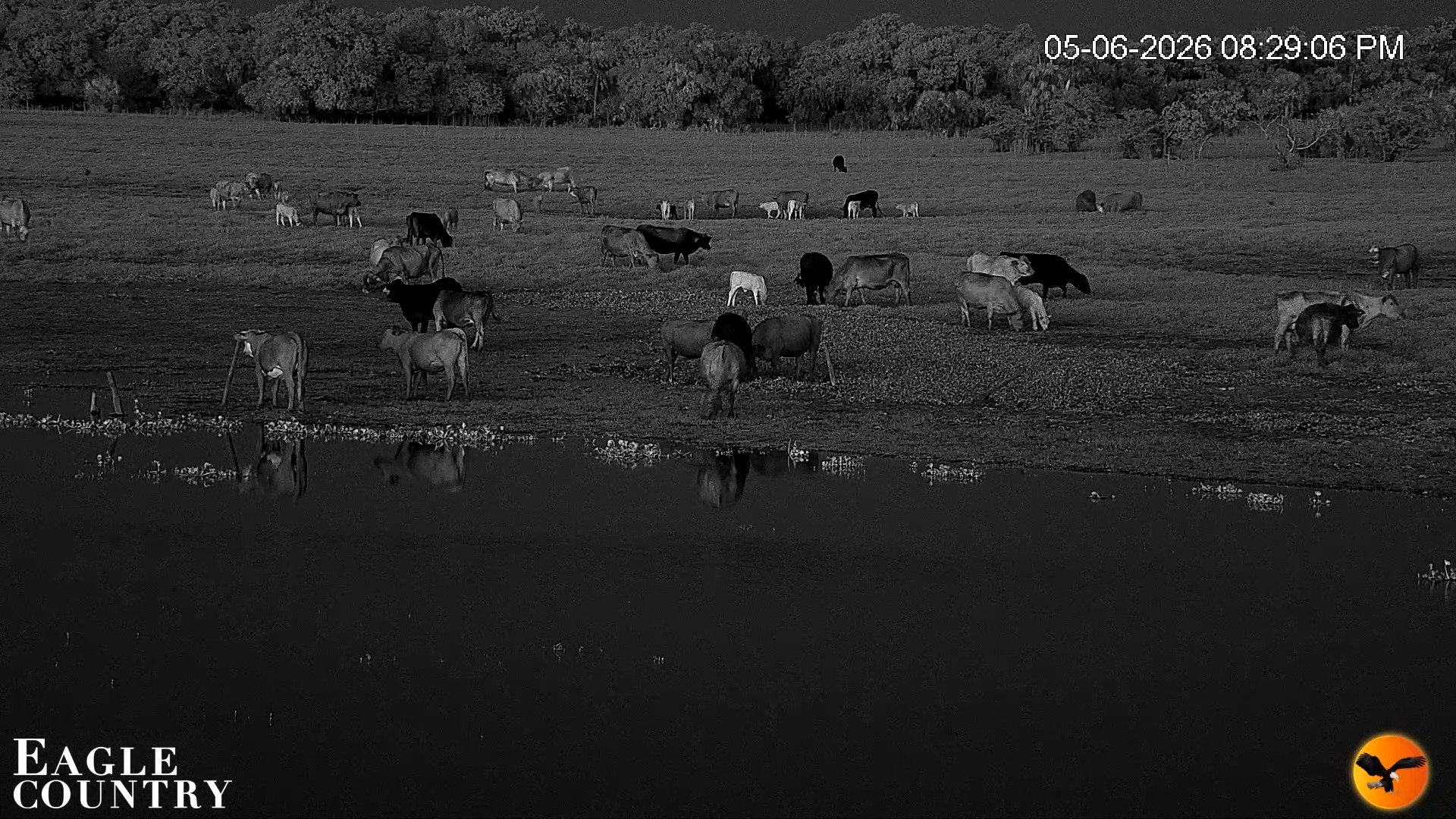 Snapshot of Southwest Florida River Wildlife Live Cams taken May 6, 2026, 11:05pm EDT