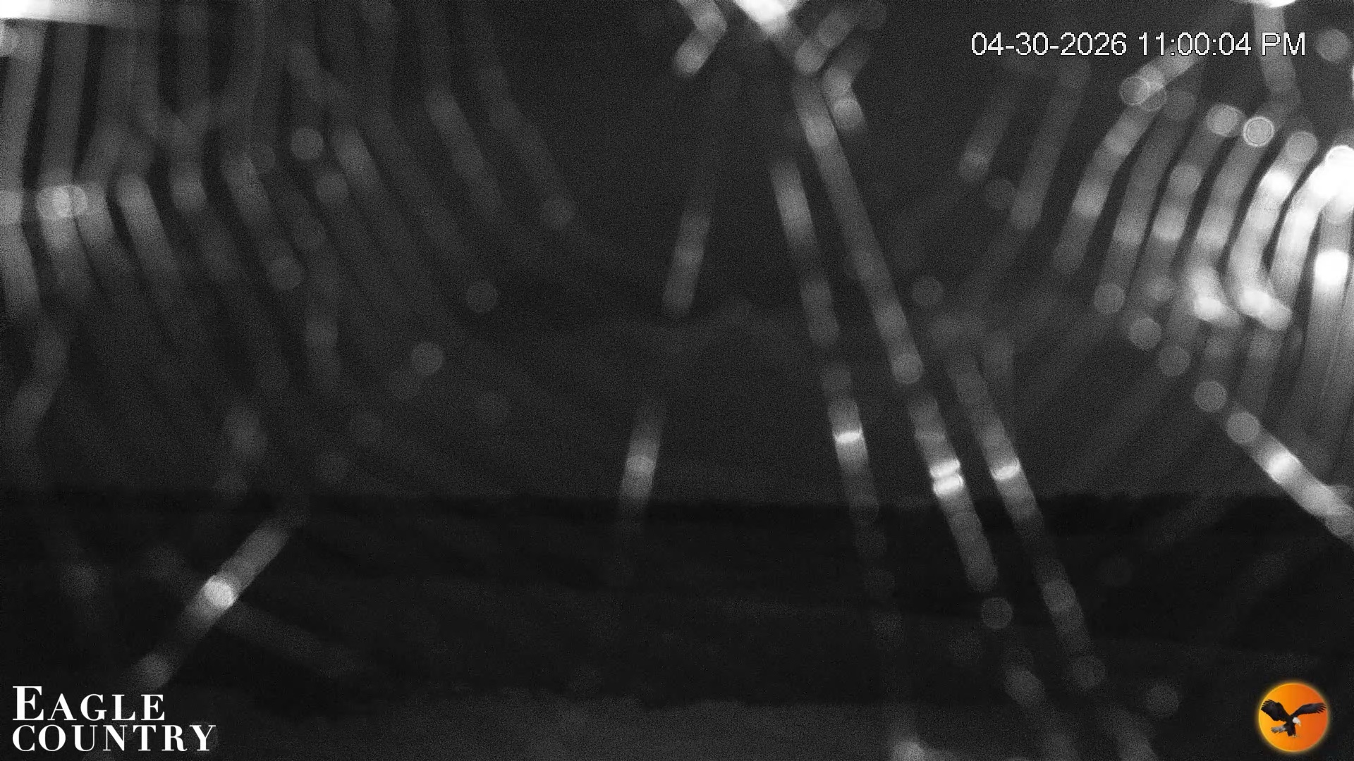 Snapshot of Southwest Florida River Wildlife Live Cams taken Apr 30, 2026, 11:00pm EDT