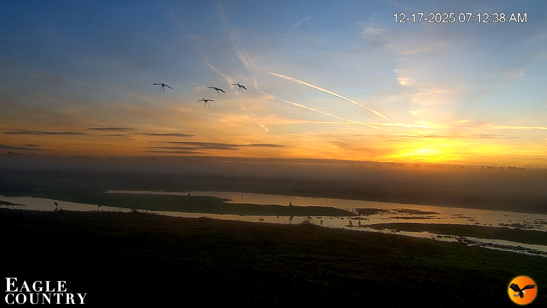 Snapshot of Southwest Florida River Wildlife Live Cams taken Dec 17, 2025, 7:51am EST