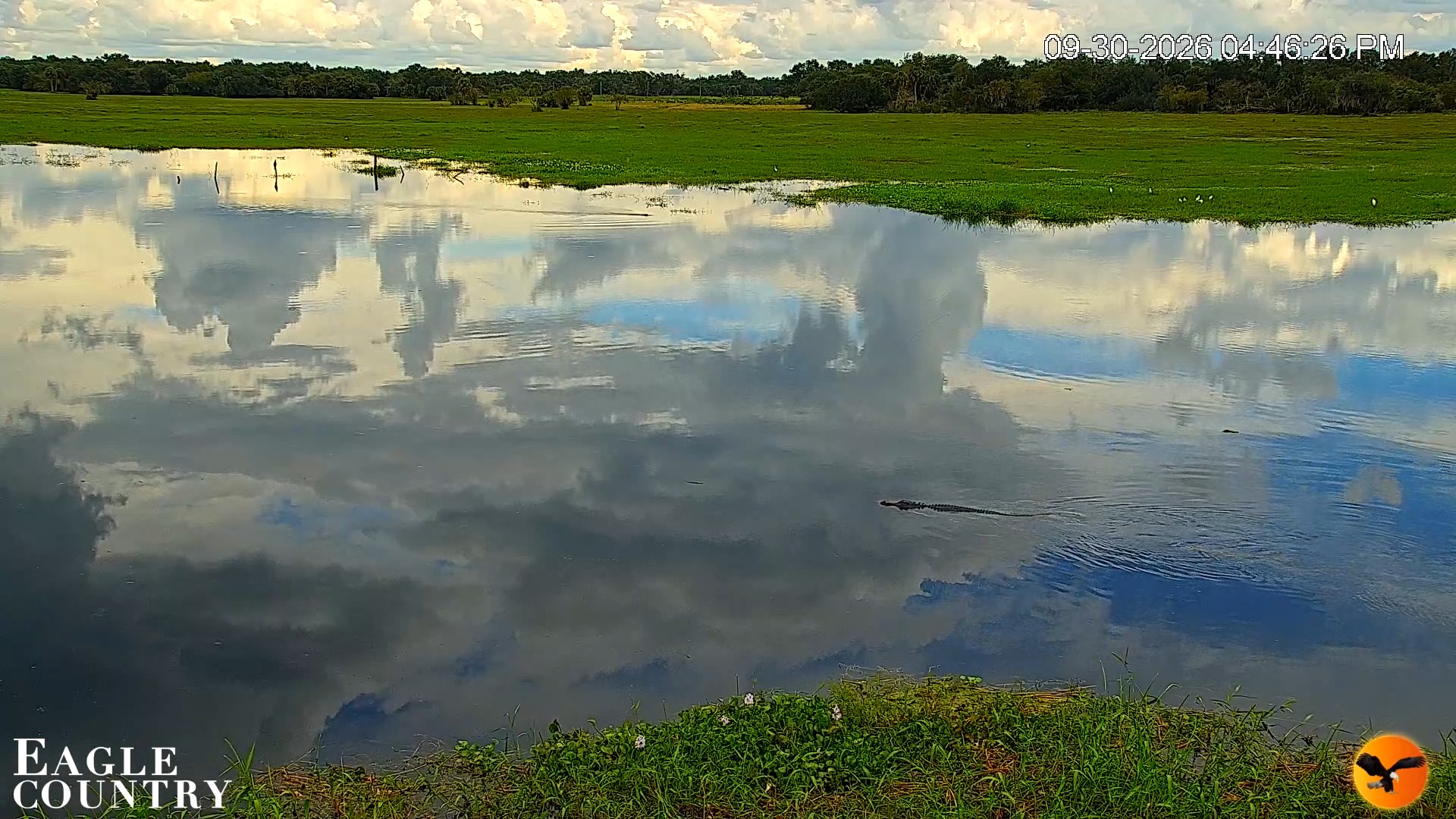Snapshot of Southwest Florida River Wildlife Live Cams taken Sep 30, 2026, 4:47pm EDT