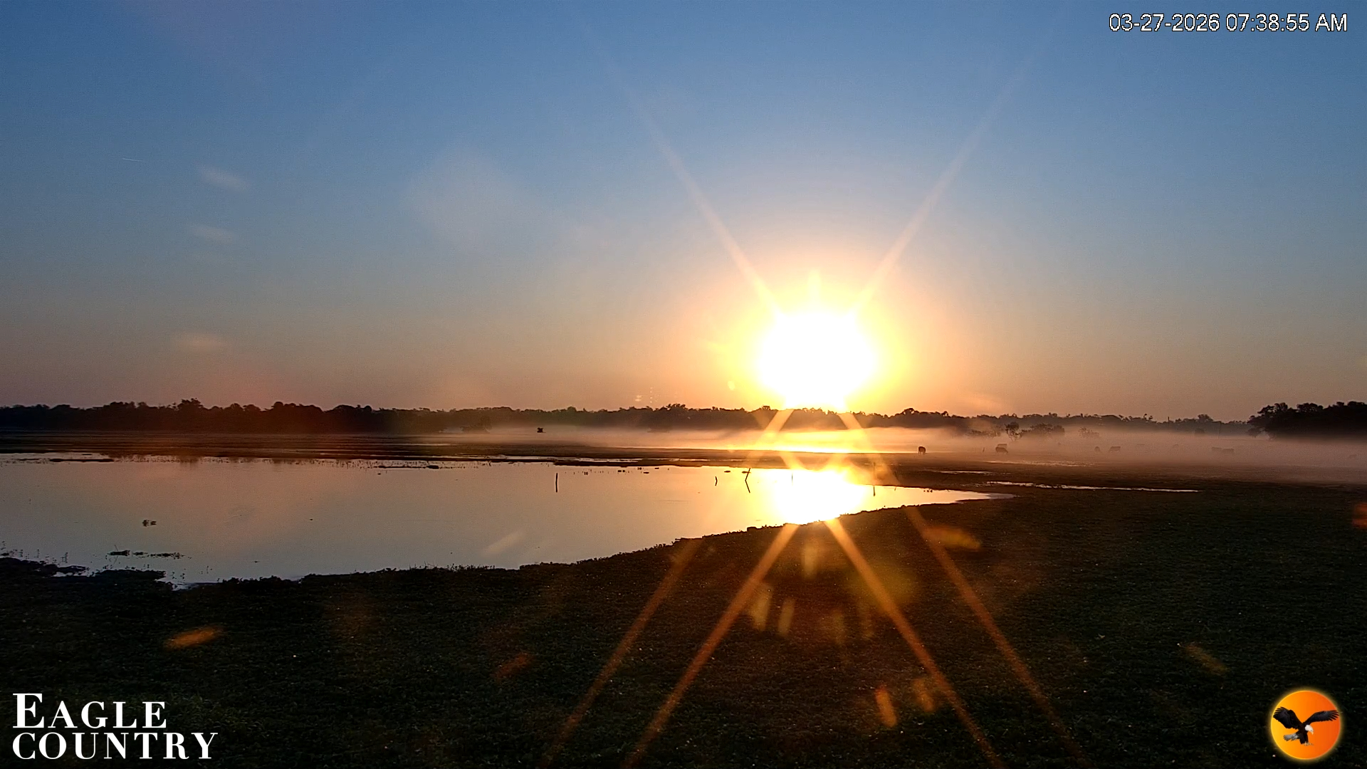Snapshot of Southwest Florida River Wildlife Live Cams taken Mar 27, 2026, 7:40am EDT