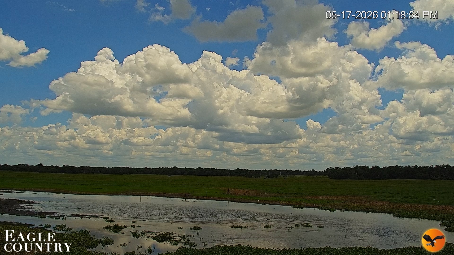 Snapshot of Southwest Florida River Wildlife Live Cams taken May 17, 2026, 1:20pm EDT