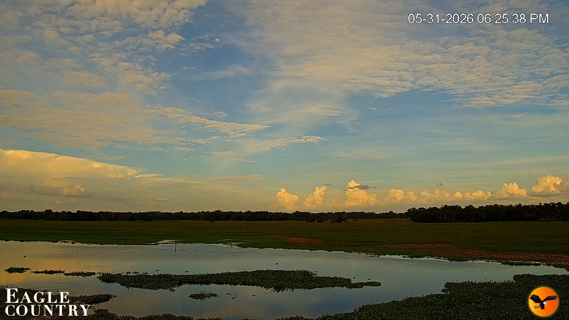 Snapshot of Southwest Florida River Wildlife Live Cams taken May 31, 2026, 6:26pm EDT