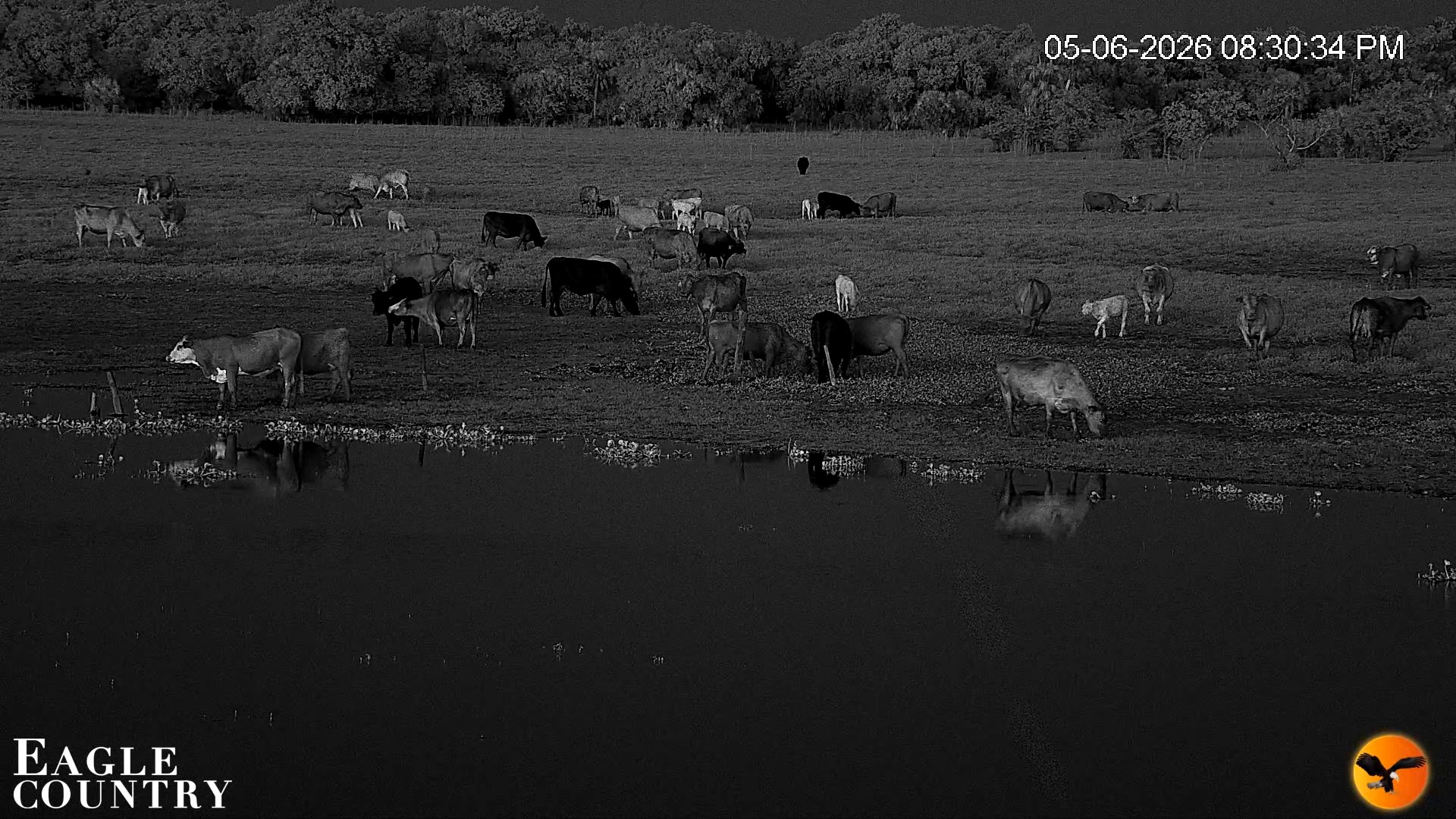 Snapshot of Southwest Florida River Wildlife Live Cams taken May 6, 2026, 11:11pm EDT