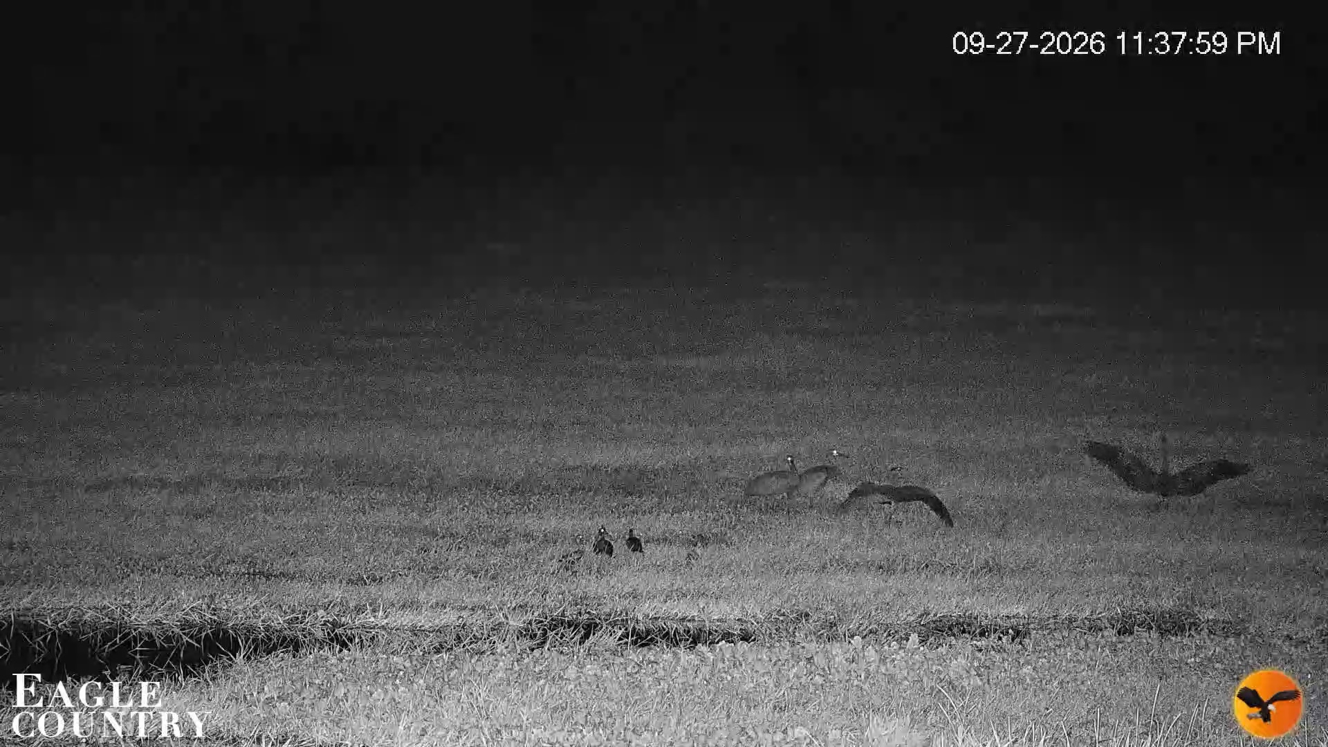 Snapshot of Southwest Florida River Wildlife Live Cams taken Sep 27, 2026, 11:38pm EDT