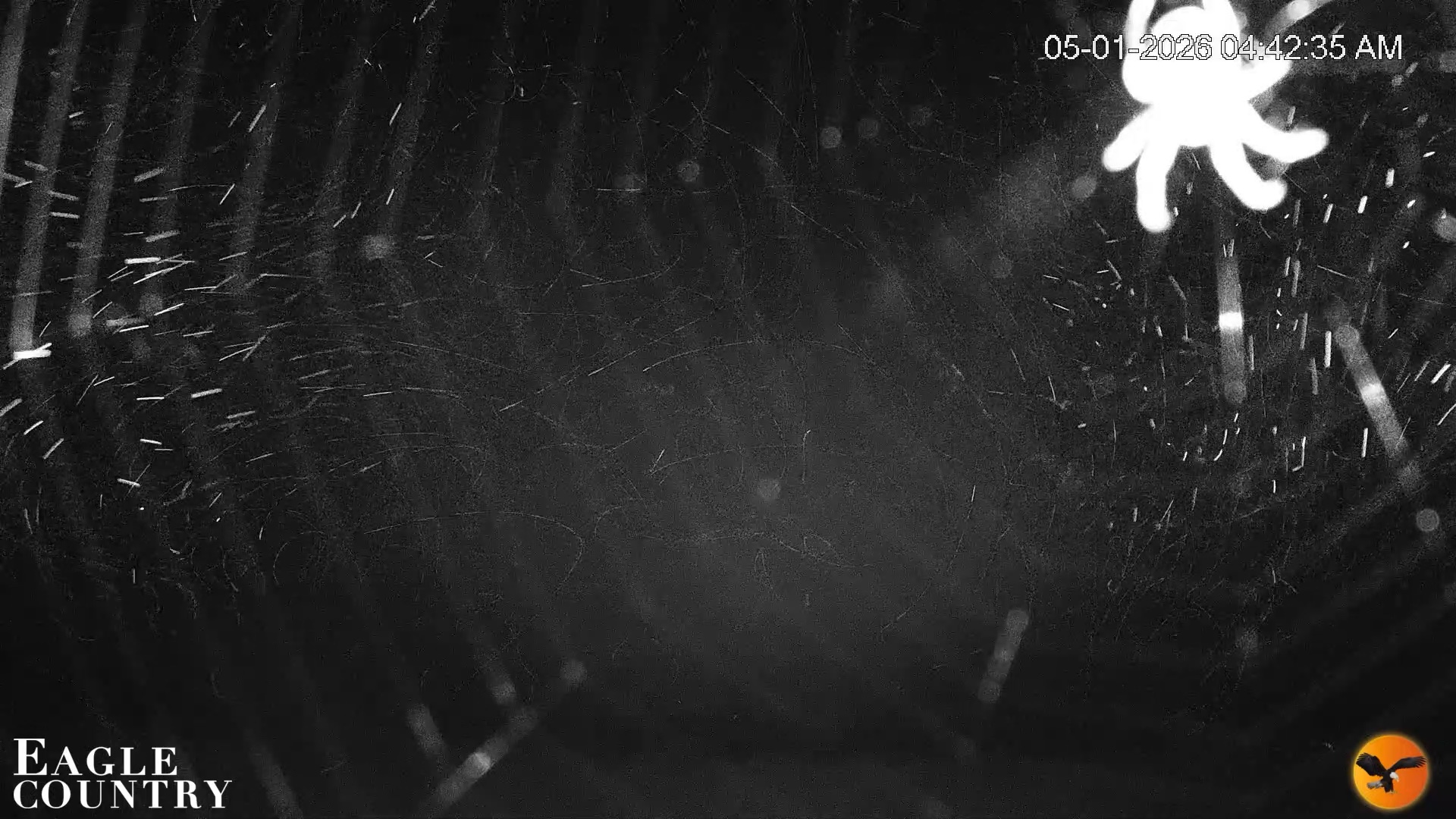 Snapshot of Southwest Florida River Wildlife Live Cams taken May 1, 2026, 4:43am EDT
