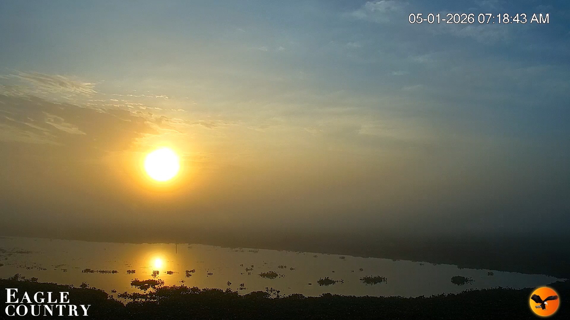 Snapshot of Southwest Florida River Wildlife Live Cams taken May 1, 2026, 7:19am EDT
