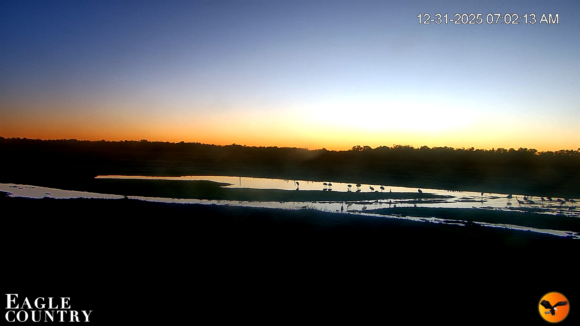 Snapshot of Southwest Florida River Wildlife Live Cams taken Dec 31, 2025, 7:02am EST