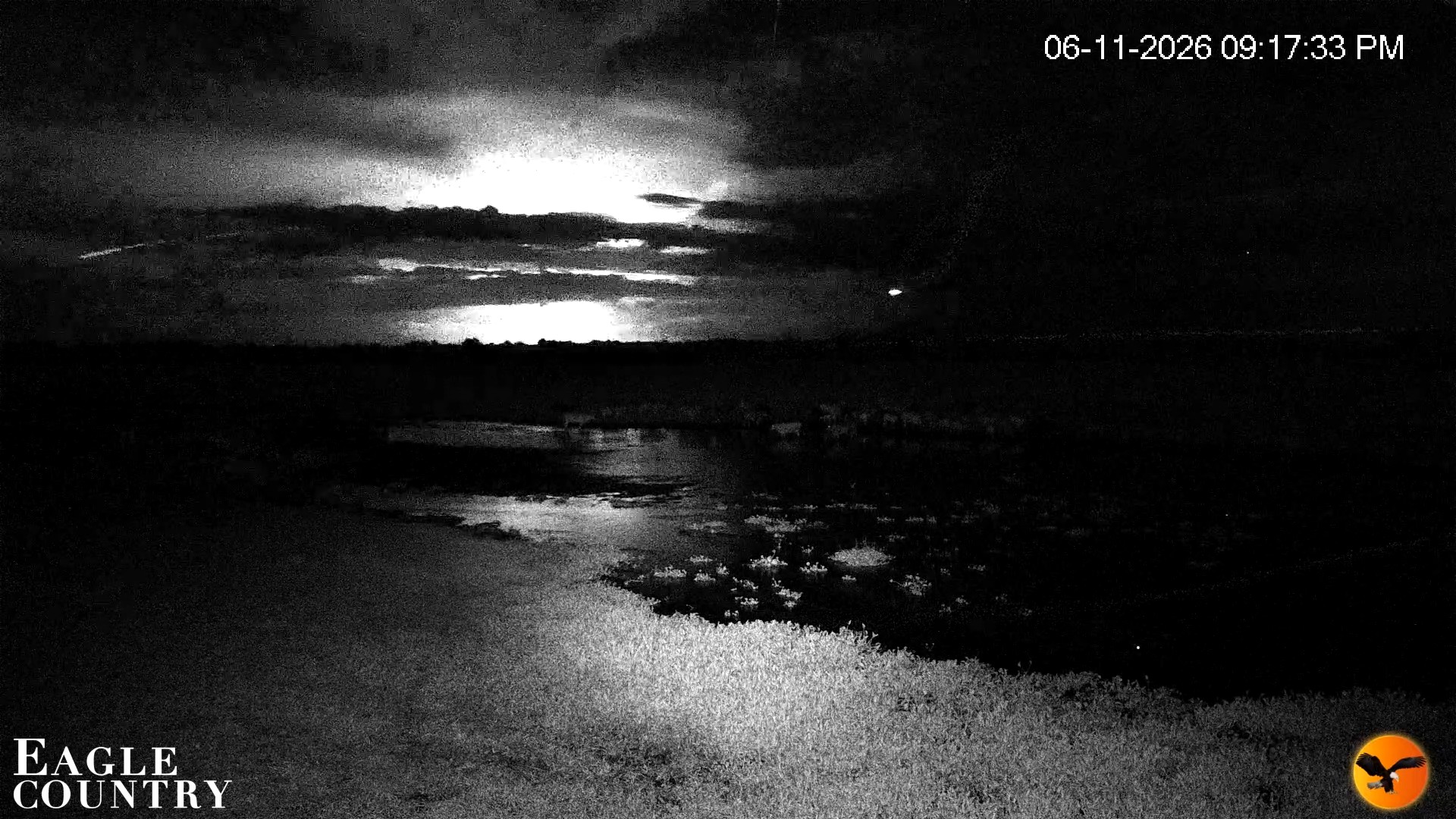 Snapshot of Southwest Florida River Wildlife Live Cams taken Jun 11, 2026, 9:36pm EDT