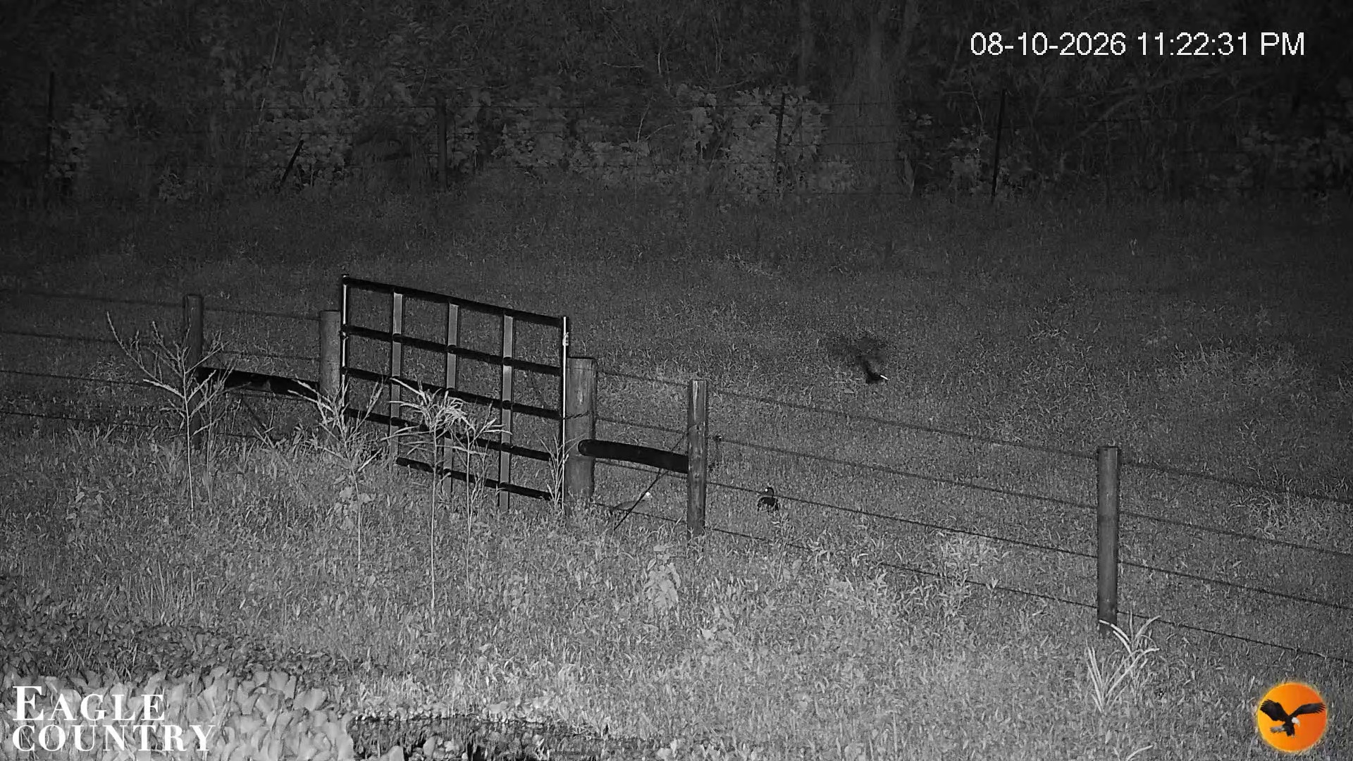 Snapshot of Southwest Florida River Wildlife Live Cams taken Aug 10, 2026, 11:23pm EDT
