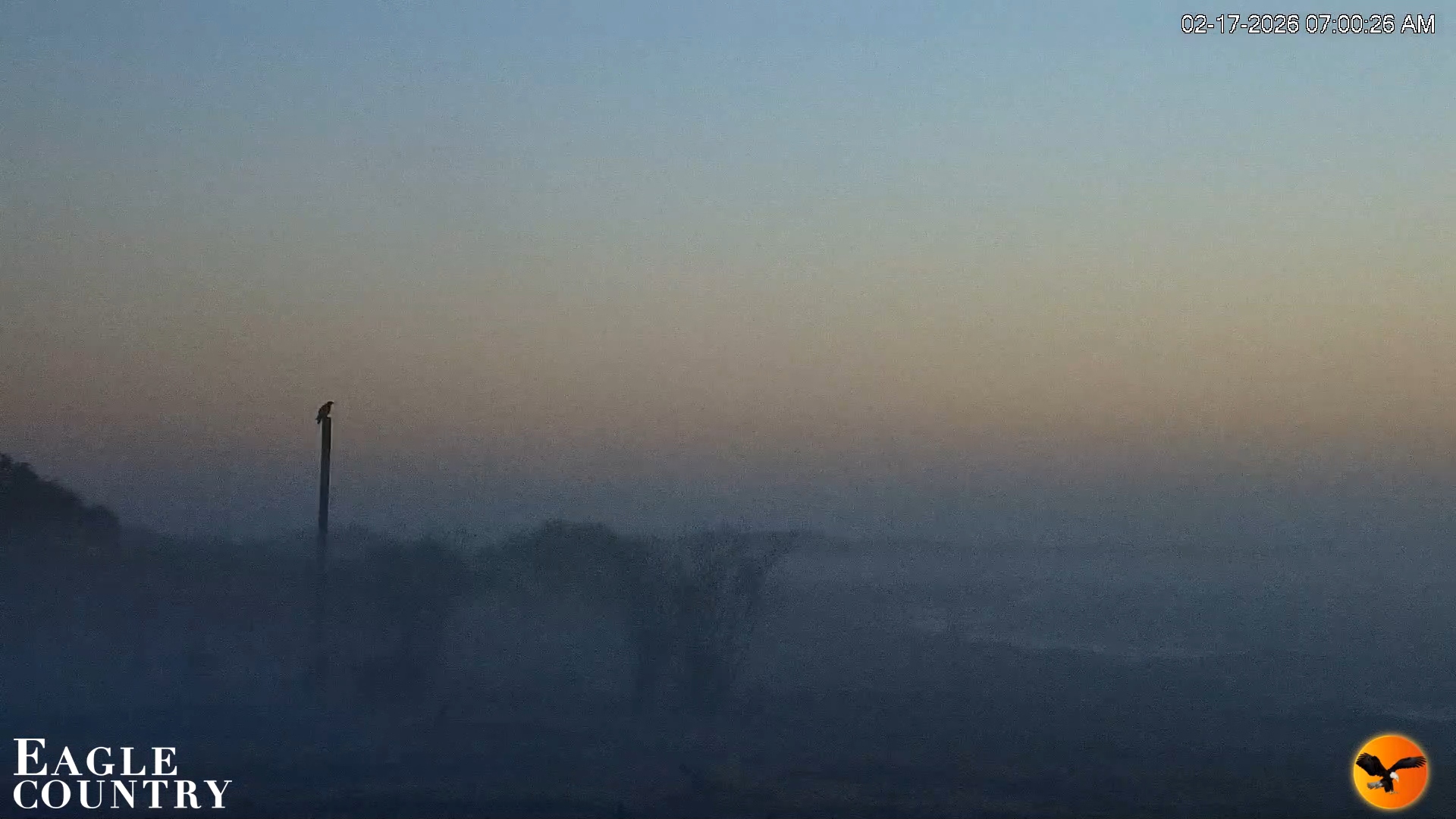 Snapshot of Southwest Florida River Wildlife Live Cams taken Feb 17, 2026, 7:01am EST