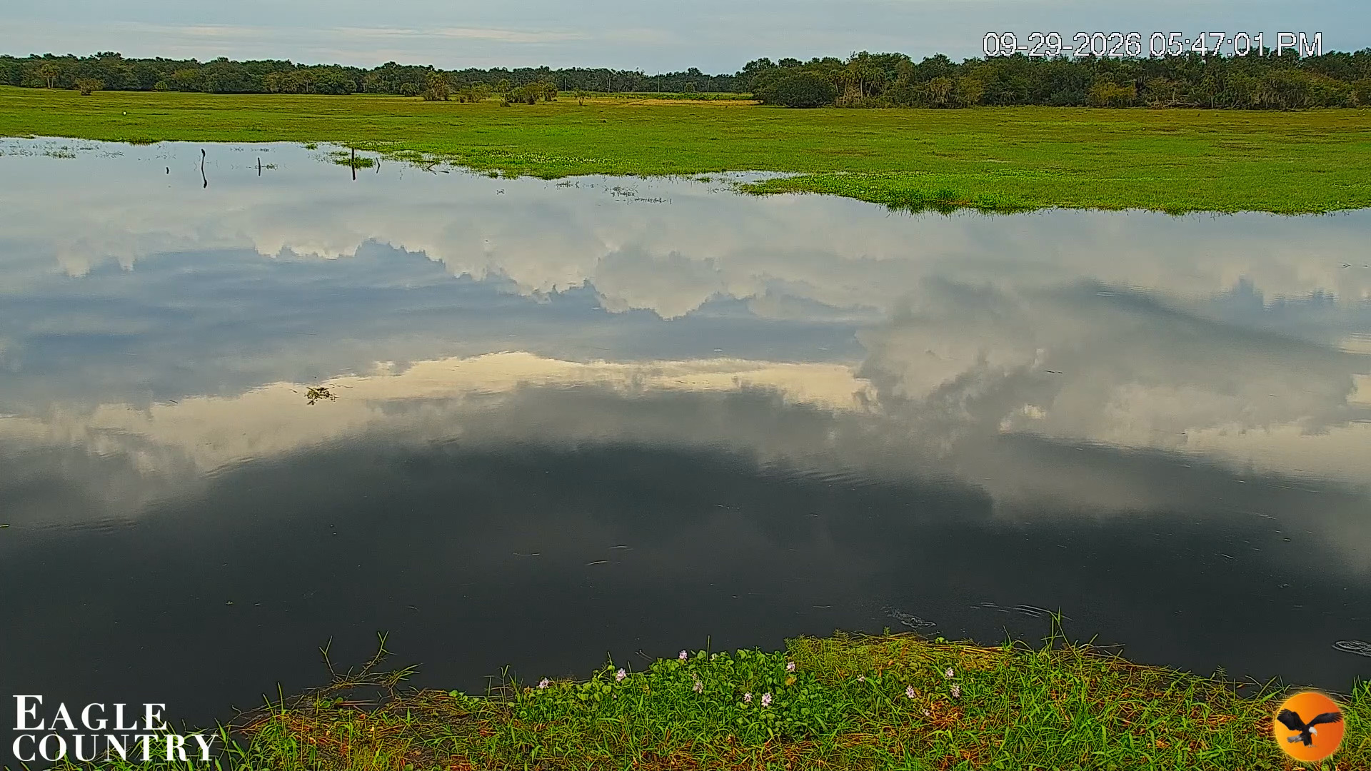 Snapshot of Southwest Florida River Wildlife Live Cams taken Sep 29, 2026, 5:47pm EDT