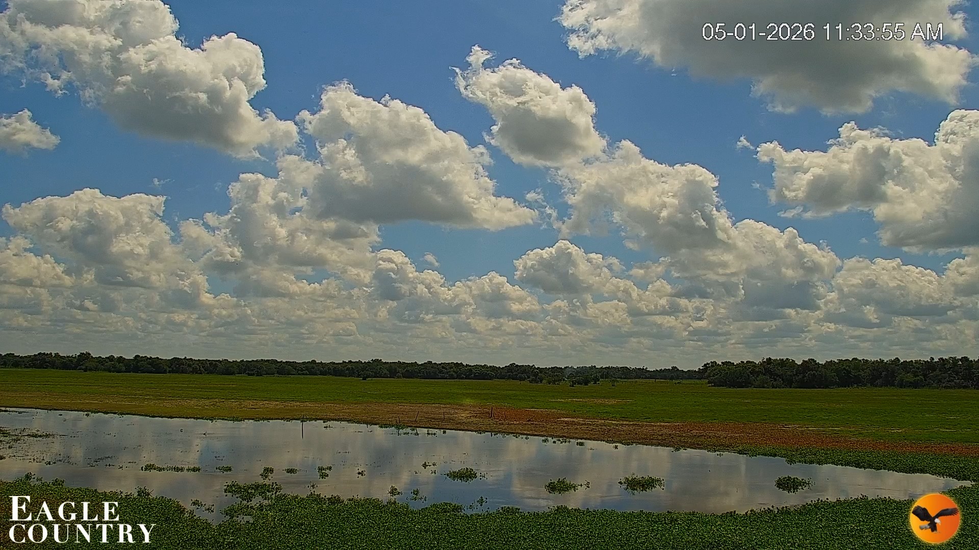 Snapshot of Southwest Florida River Wildlife Live Cams taken May 1, 2026, 11:35am EDT