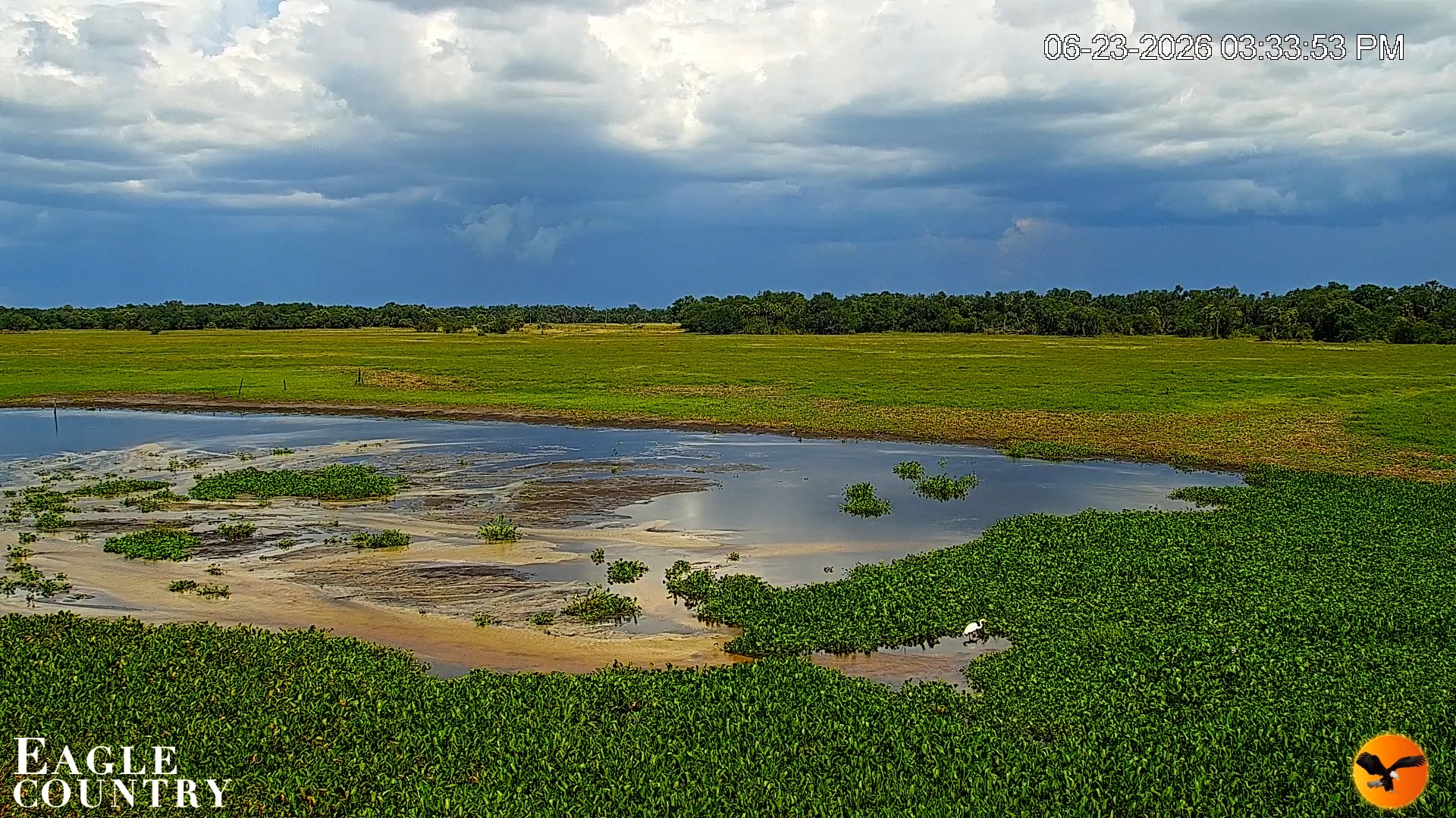 Snapshot of Southwest Florida River Wildlife Live Cams taken Jun 23, 2026, 3:35pm EDT