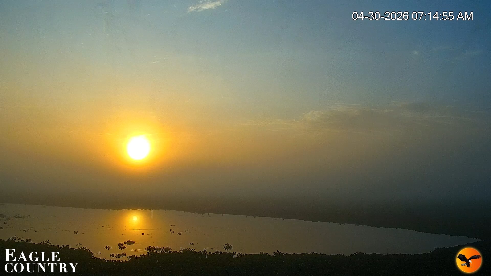 Snapshot of Southwest Florida River Wildlife Live Cams taken Apr 30, 2026, 7:43am EDT