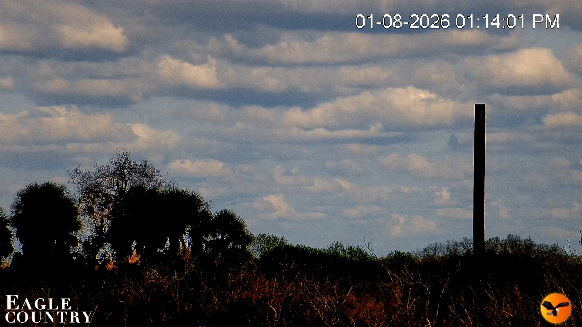 Snapshot of Southwest Florida River Wildlife Live Cams taken Jan 8, 2026, 1:14pm EST