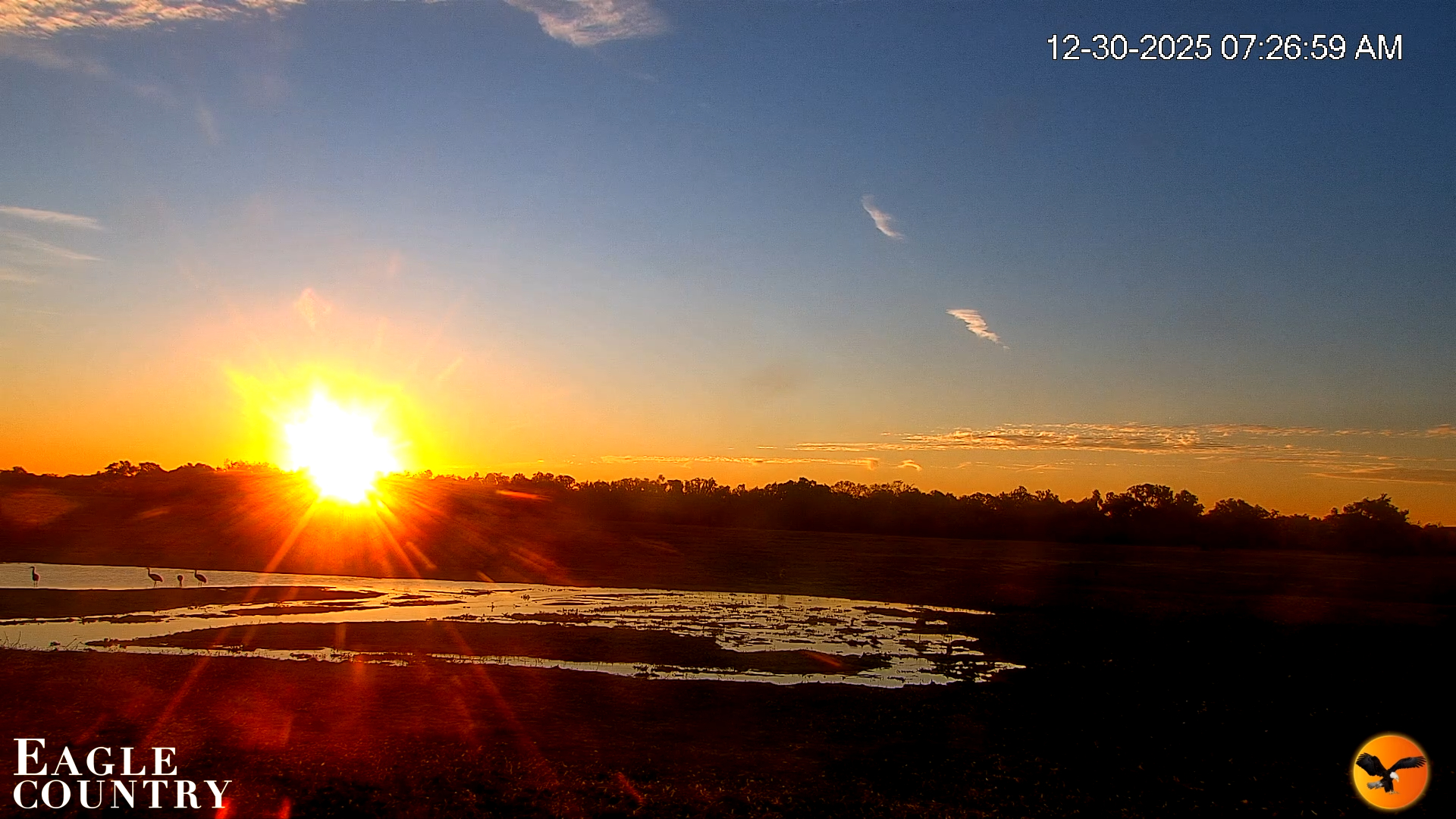 Snapshot of Southwest Florida River Wildlife Live Cams taken Dec 30, 2025, 7:27am EST