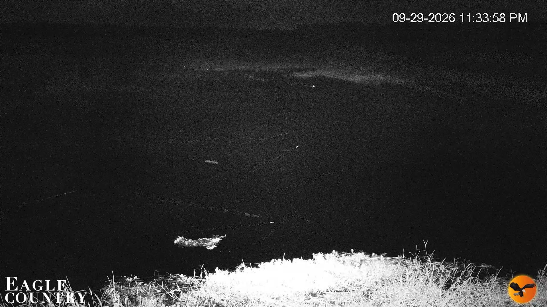 Snapshot of Southwest Florida River Wildlife Live Cams taken Sep 29, 2026, 11:34pm EDT