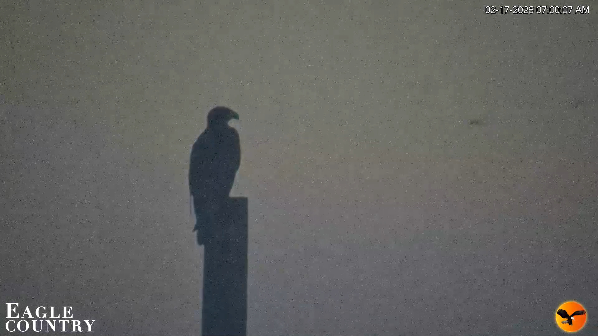 Snapshot of Southwest Florida River Wildlife Live Cams taken Feb 17, 2026, 7:01am EST