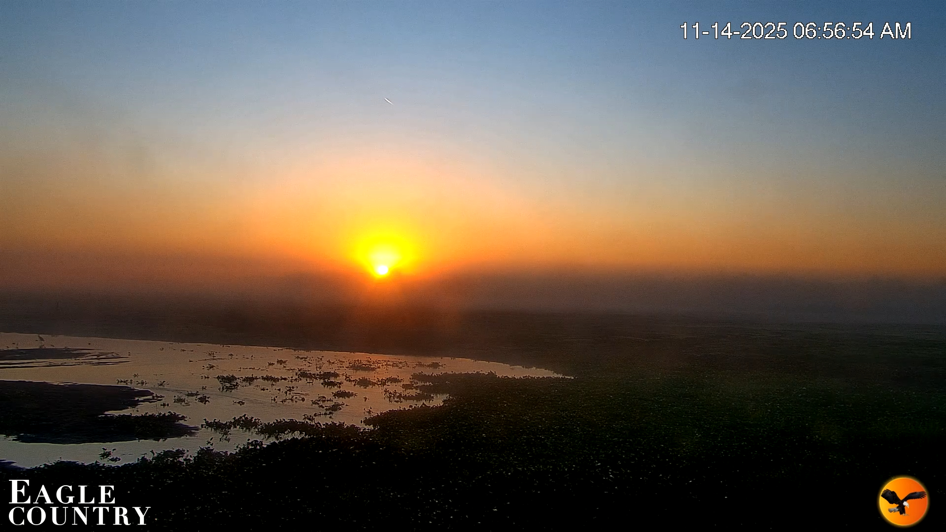Snapshot of Southwest Florida River Wildlife Live Cams taken Nov 14, 2025, 6:57am EST