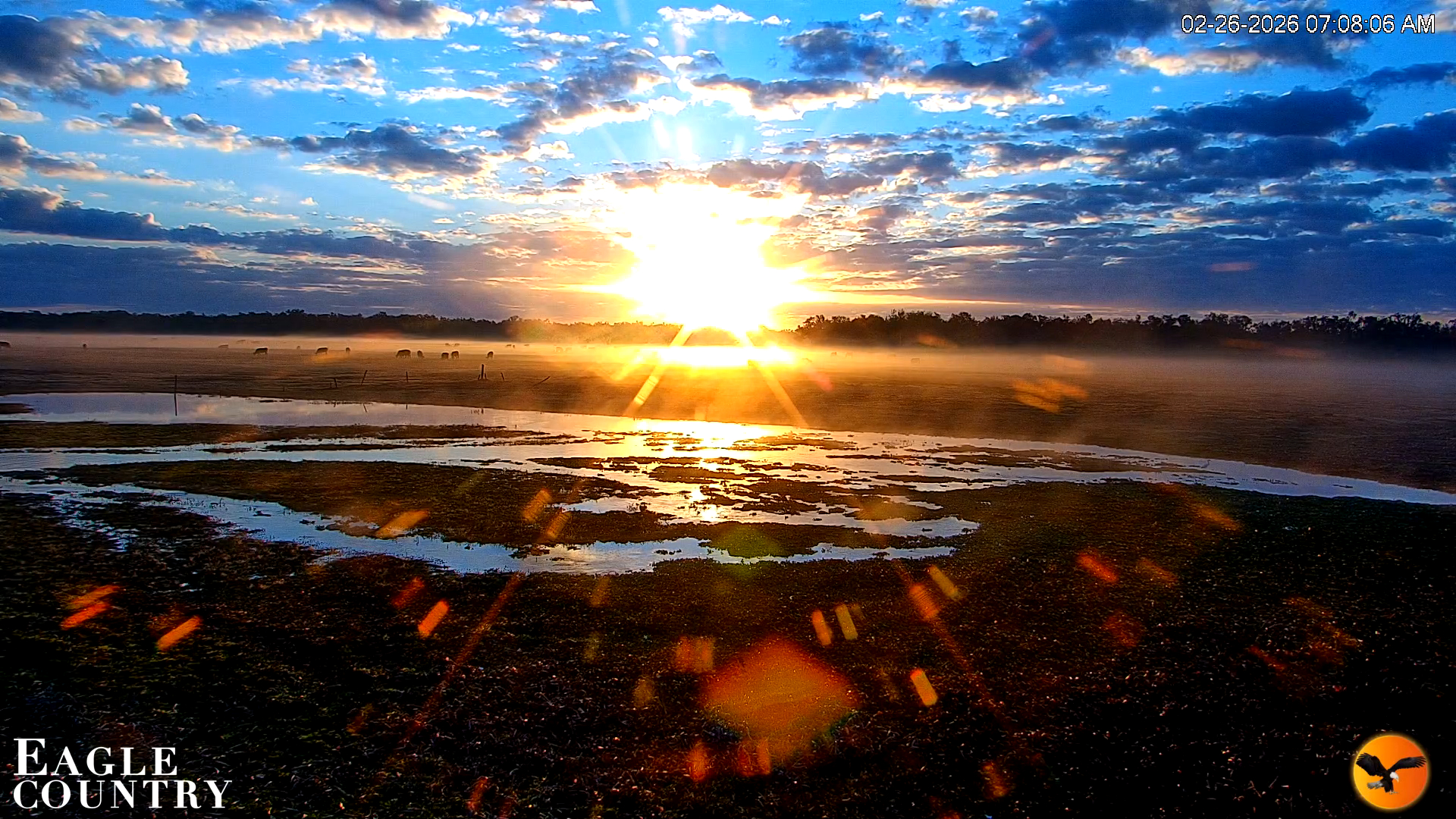Snapshot of Southwest Florida River Wildlife Live Cams taken Feb 26, 2026, 7:09am EST