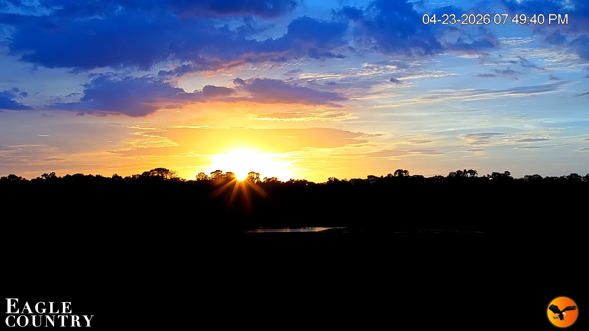 Snapshot of Southwest Florida River Wildlife Live Cams taken Apr 23, 2026, 7:50pm EDT
