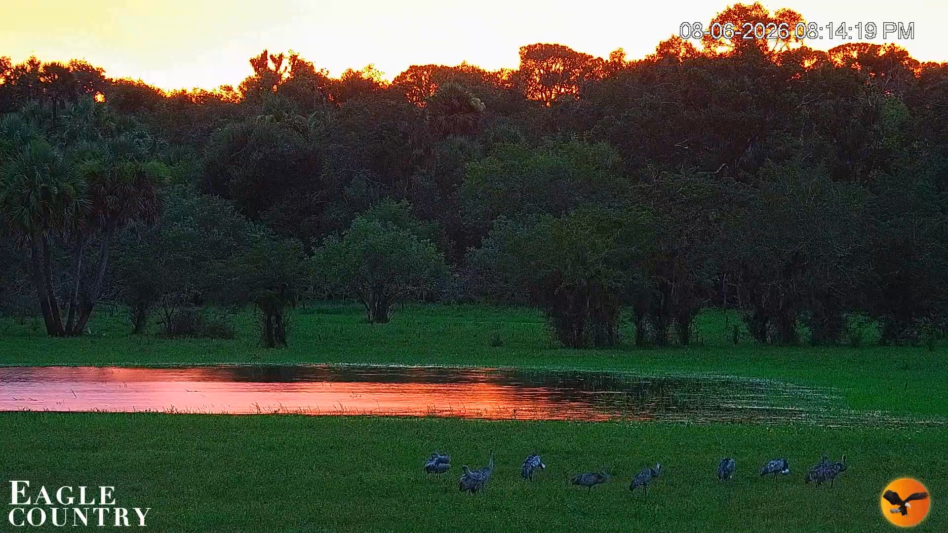 Snapshot of Southwest Florida River Wildlife Live Cams taken Aug 6, 2026, 8:14pm EDT