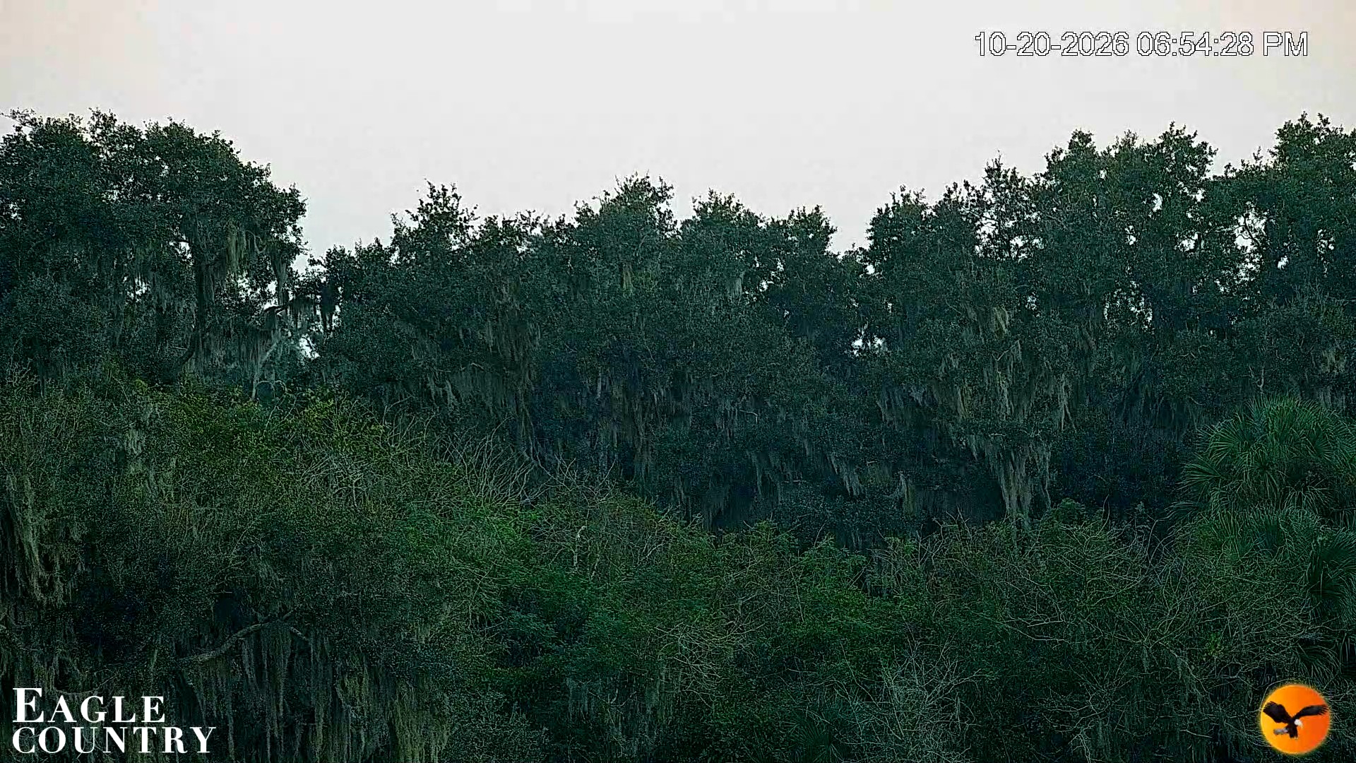 Snapshot of Southwest Florida River Wildlife Live Cams taken Oct 20, 2026, 6:55pm EDT