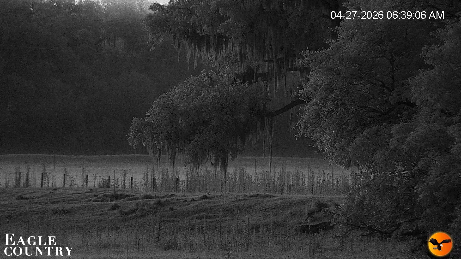 Snapshot of Southwest Florida River Wildlife Live Cams taken Apr 27, 2026, 6:54am EDT