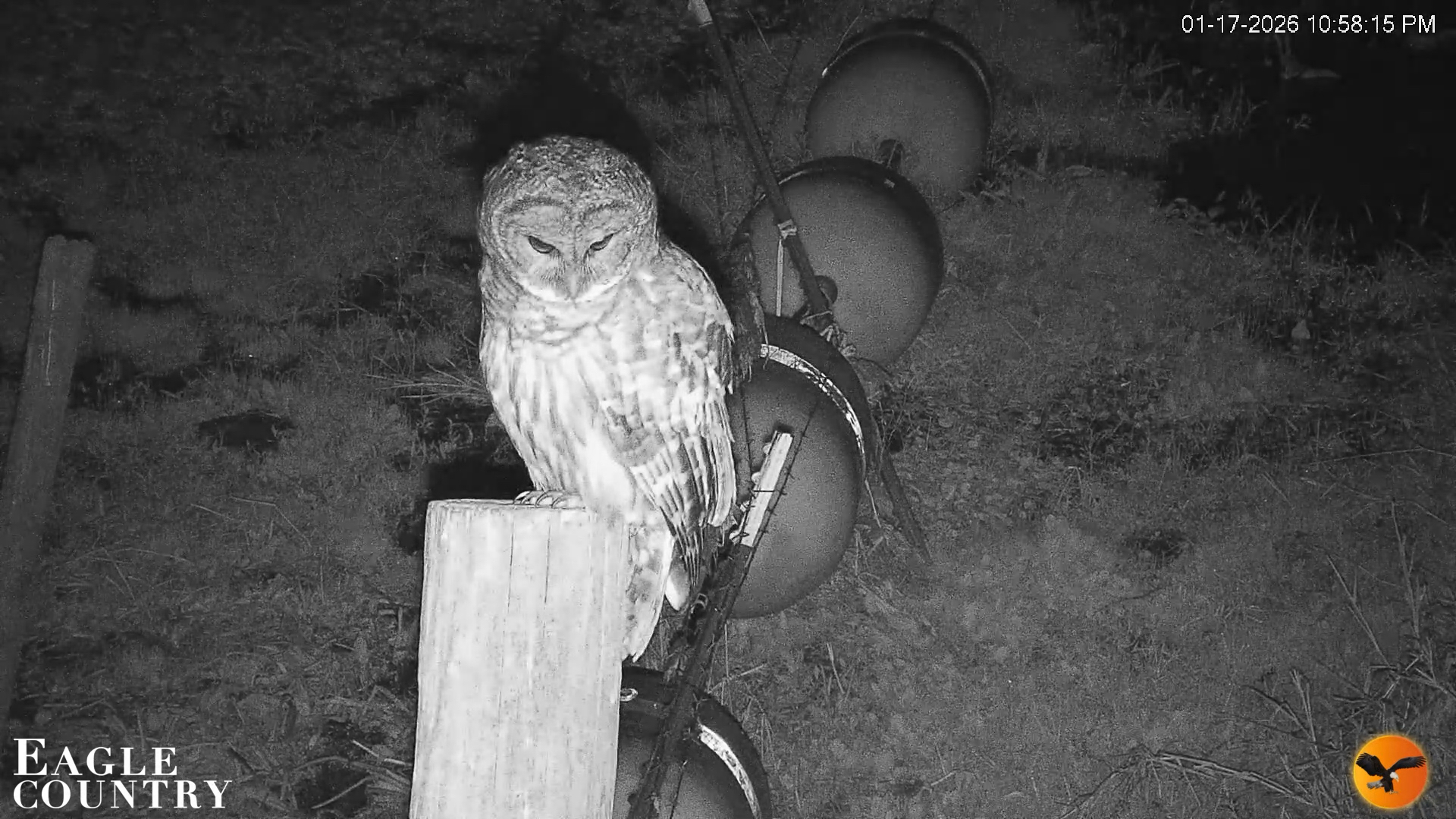 Snapshot of Southwest Florida River Wildlife Live Cams taken Jan 17, 2026, 10:59pm EST