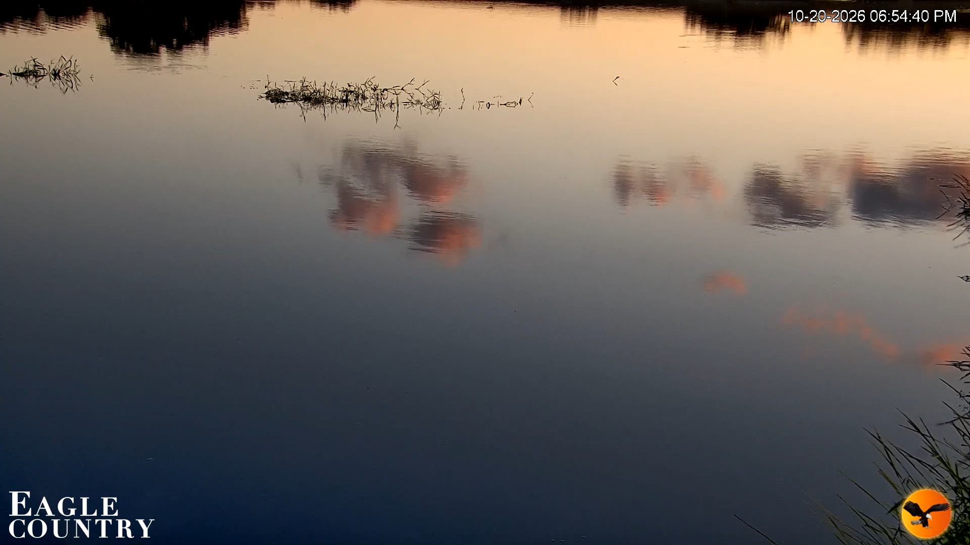 Snapshot of Southwest Florida River Wildlife Live Cams taken Oct 20, 2026, 6:54pm EDT