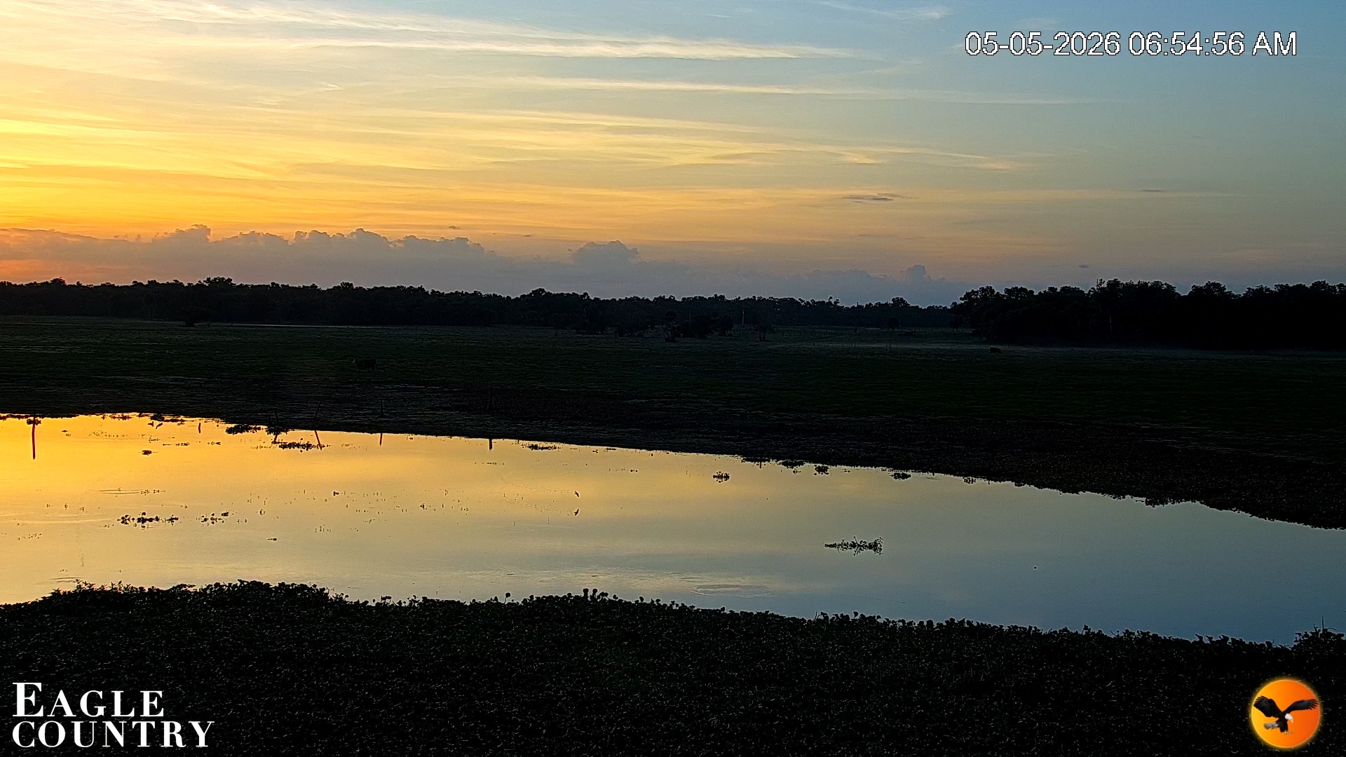 Snapshot of Southwest Florida River Wildlife Live Cams taken May 5, 2026, 6:56am EDT