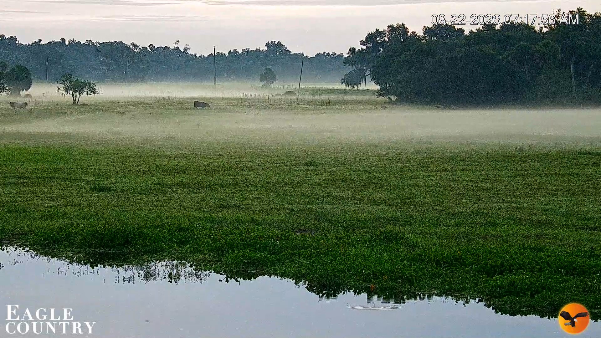 Snapshot of Southwest Florida River Wildlife Live Cams taken Aug 22, 2026, 7:18am EDT