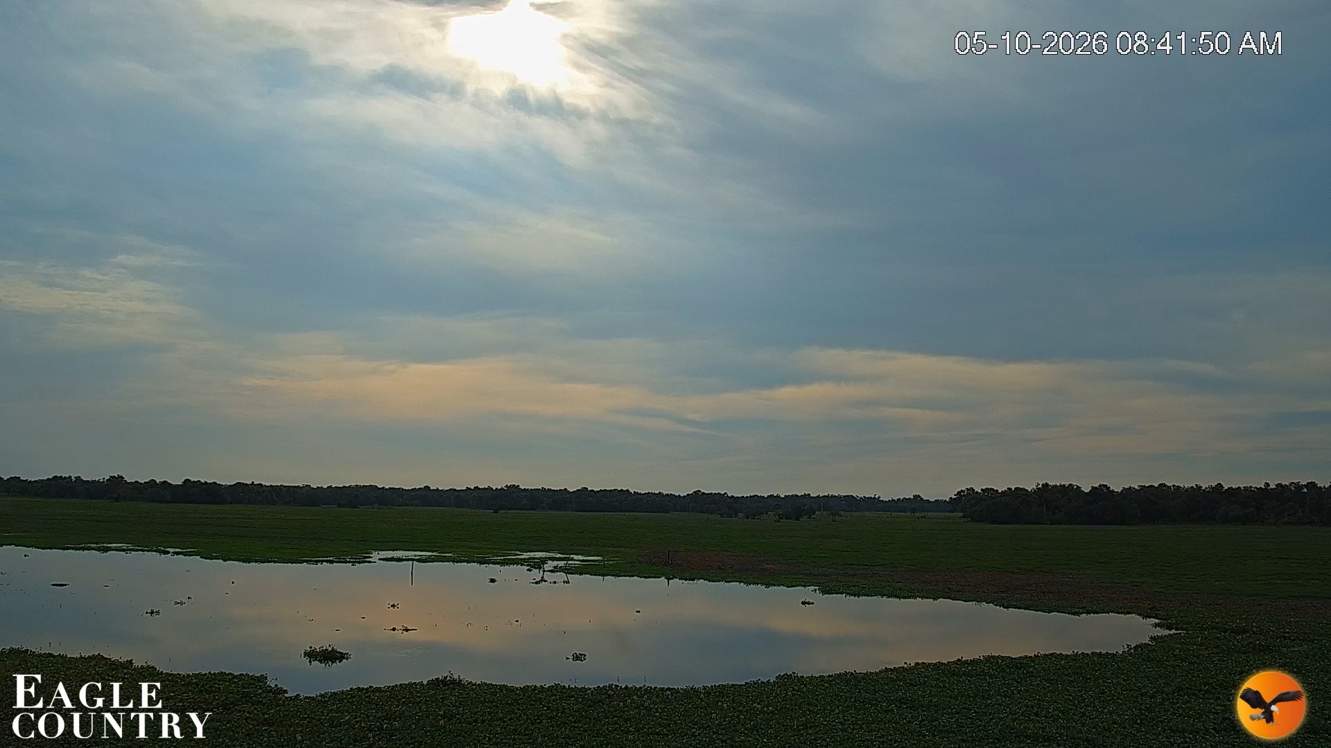 Snapshot of Southwest Florida River Wildlife Live Cams taken May 10, 2026, 8:42am EDT
