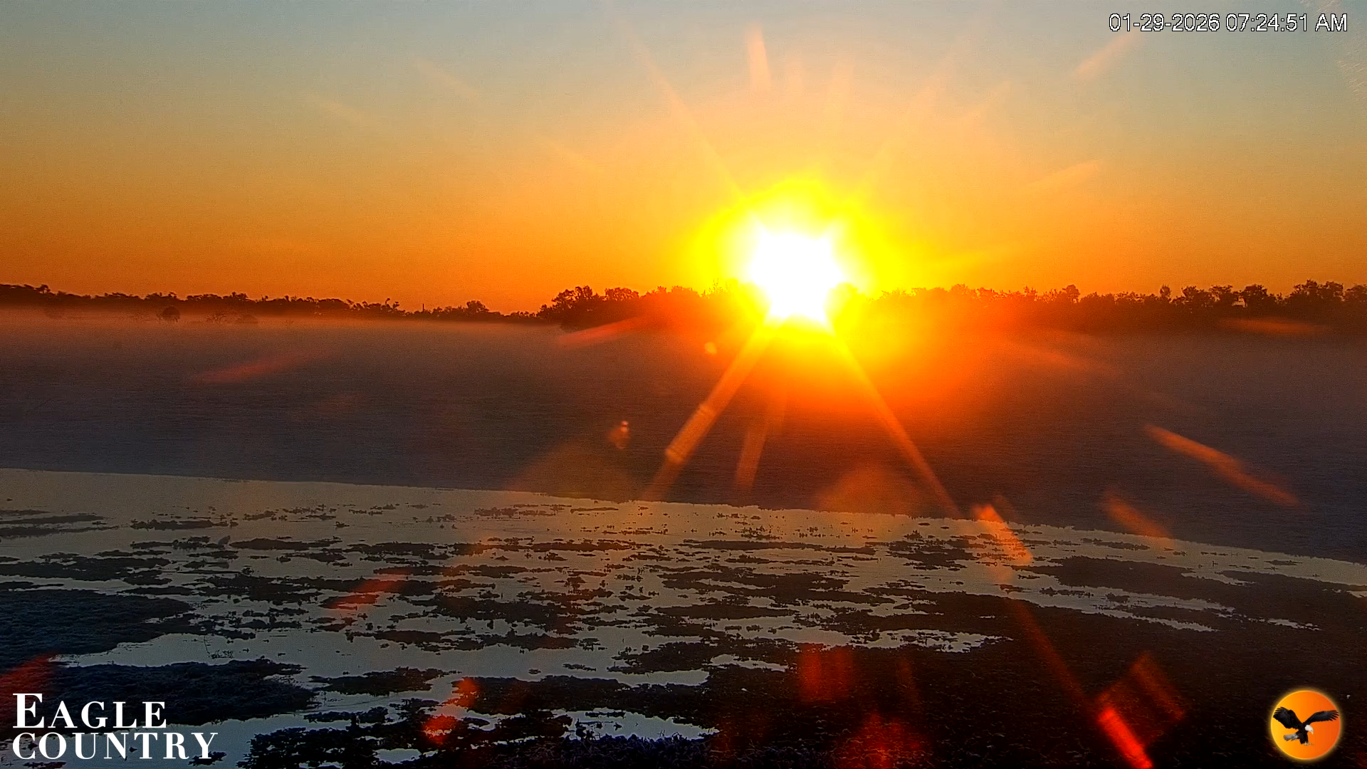 Snapshot of Southwest Florida River Wildlife Live Cams taken Jan 29, 2026, 7:41am EST